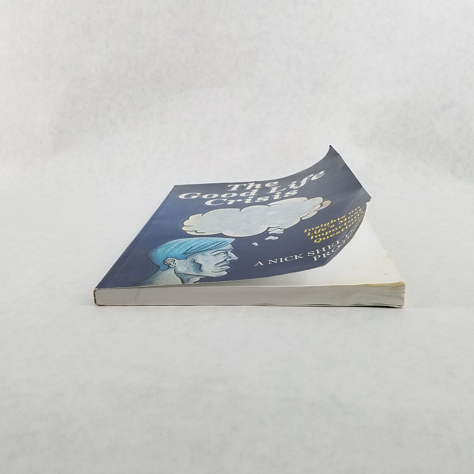 Good Life Crisis – Softcover by Nick Shelton – NO MARKS