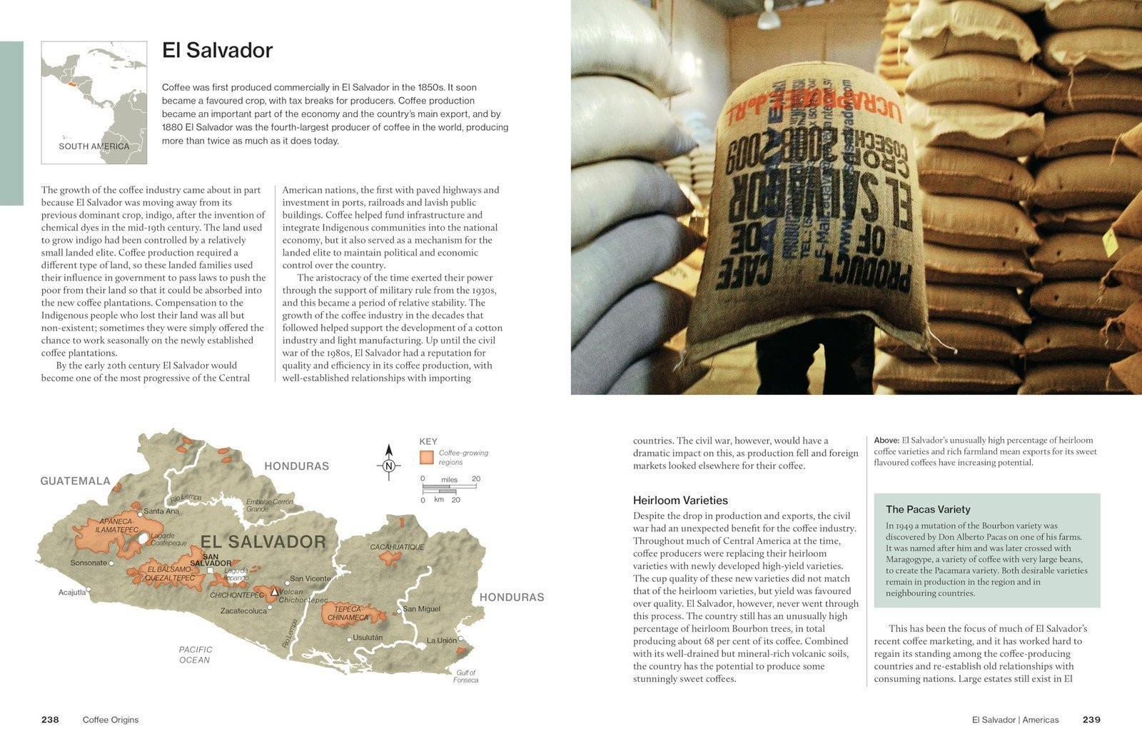 The World Atlas of Coffee 3rd edition: From beans to brewing – coffees…
