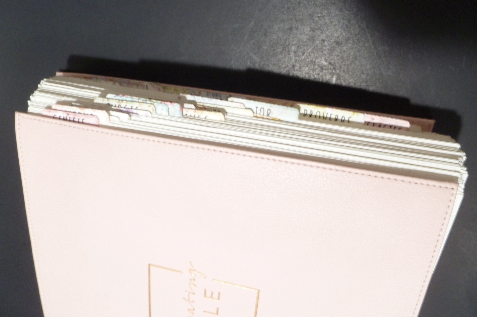 Illustrating Bible NIV Pink by Dayspring (2020, Spiral)