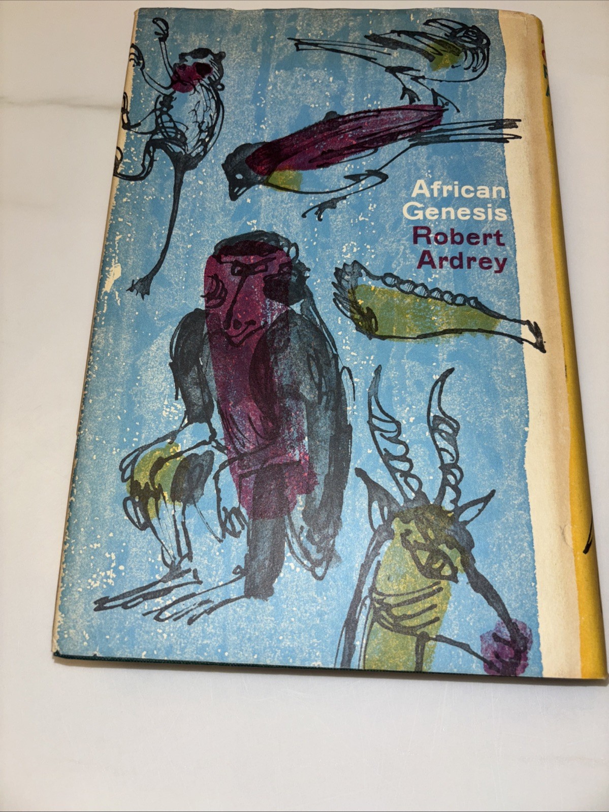 1961-African Genesis- Robert Audrey-HC/DJ- Book Club-Anthropology-VG+