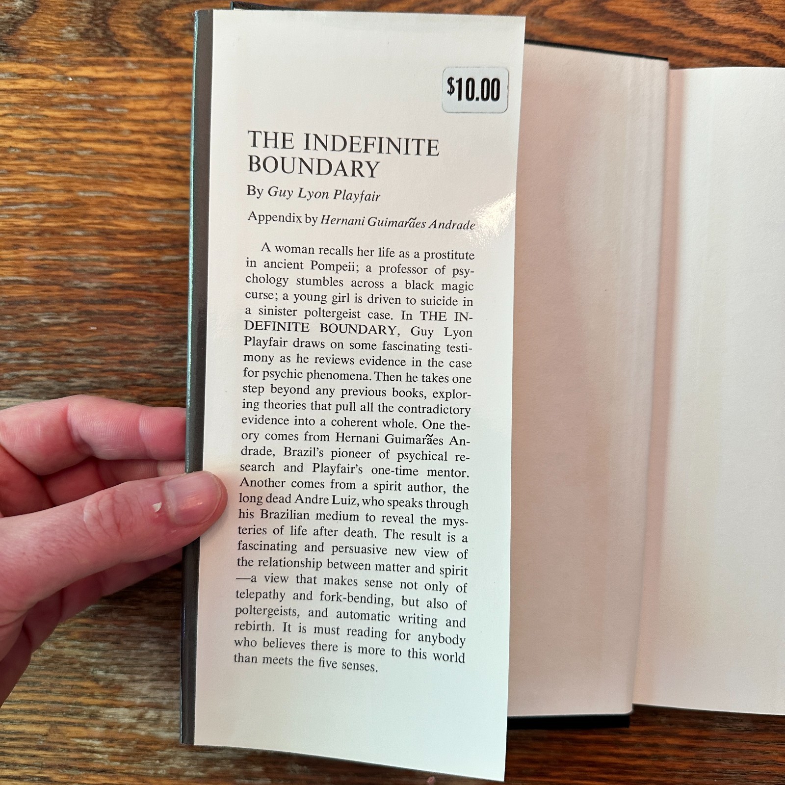 The Indefinite Boundary by Guy Lyon Playfair 1976 ESP Hardcover VG