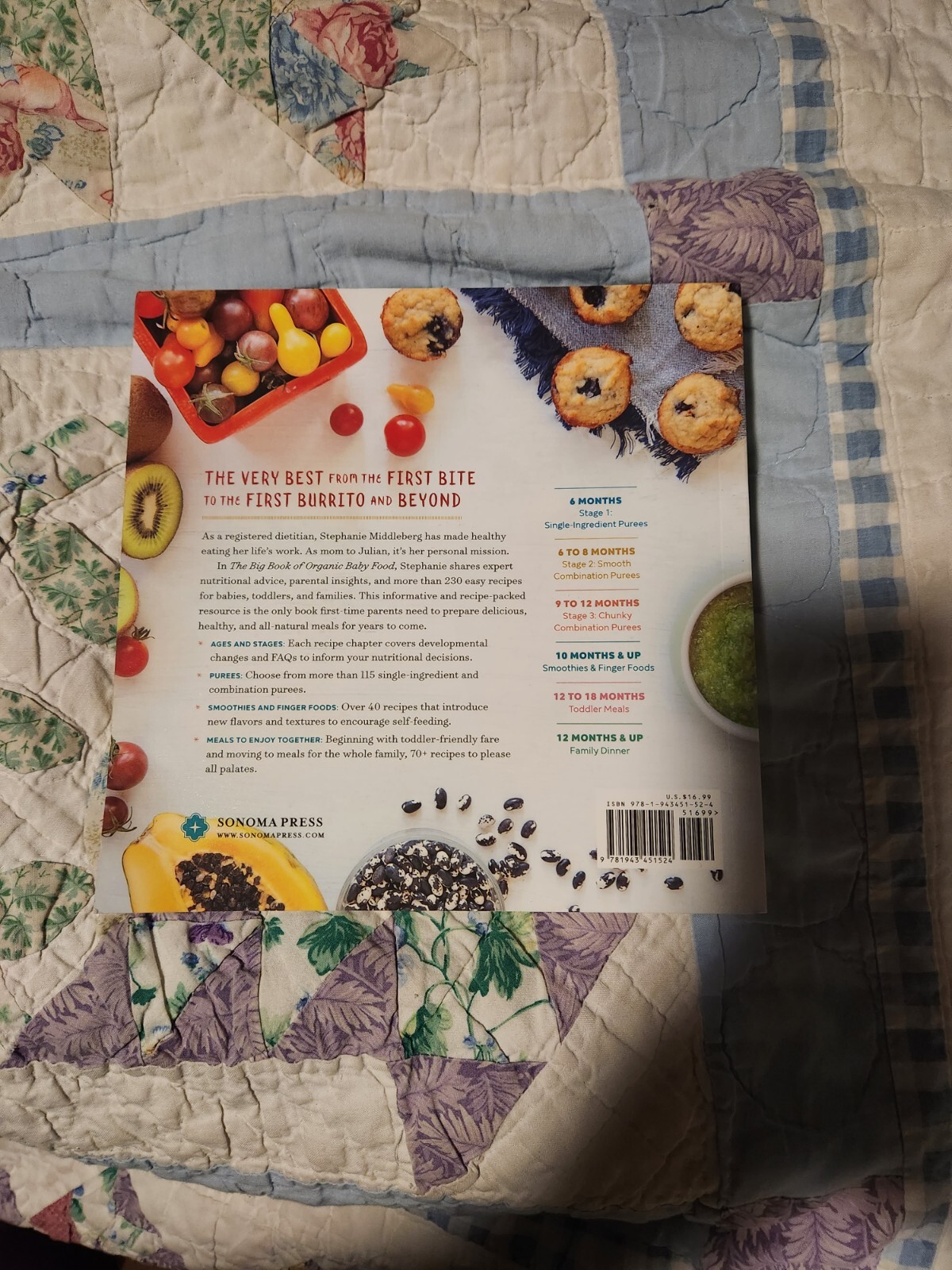 The Big Book of Organic Baby Food : Baby Purées, Finger Foods, and Toddler Meals
