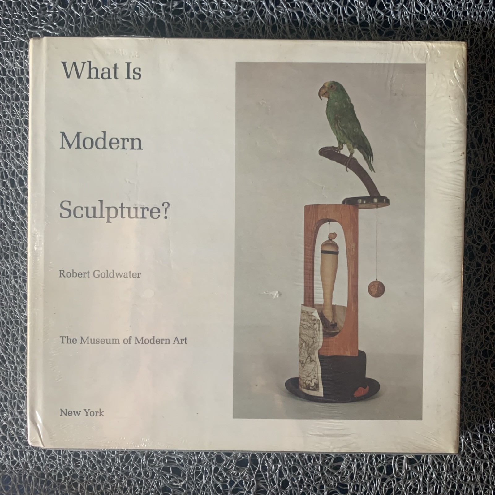 What is Modern Sculpture? by Robert Goldwater : Hardcover, 146 pp : NEW / Sealed