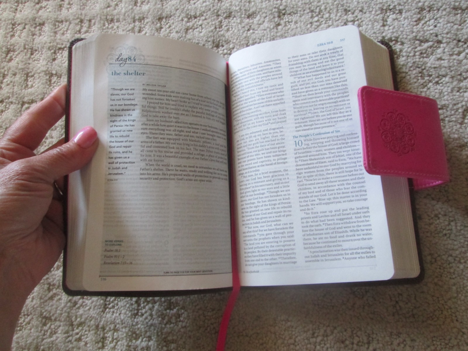 NIV Real-Life Devotional Bible Womens Pink Brown /Silver Edges Zondervan Leather
