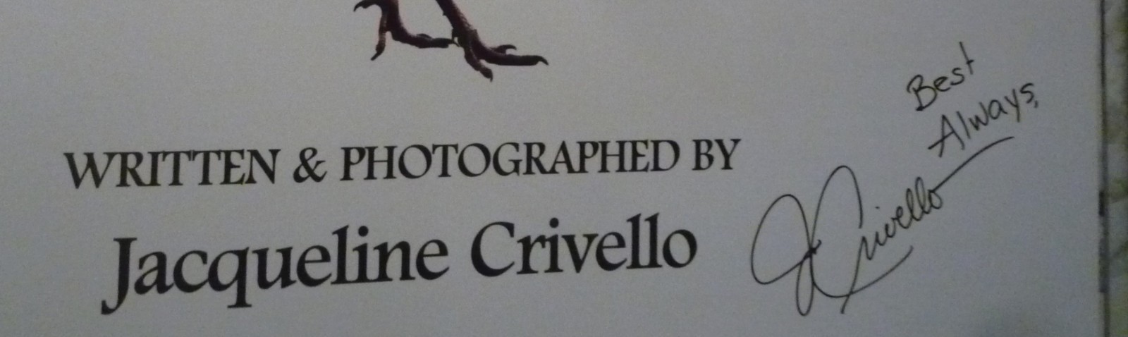 The Magic of the Forest Jacqueline Crivello Hardcover SIGNED NEW
