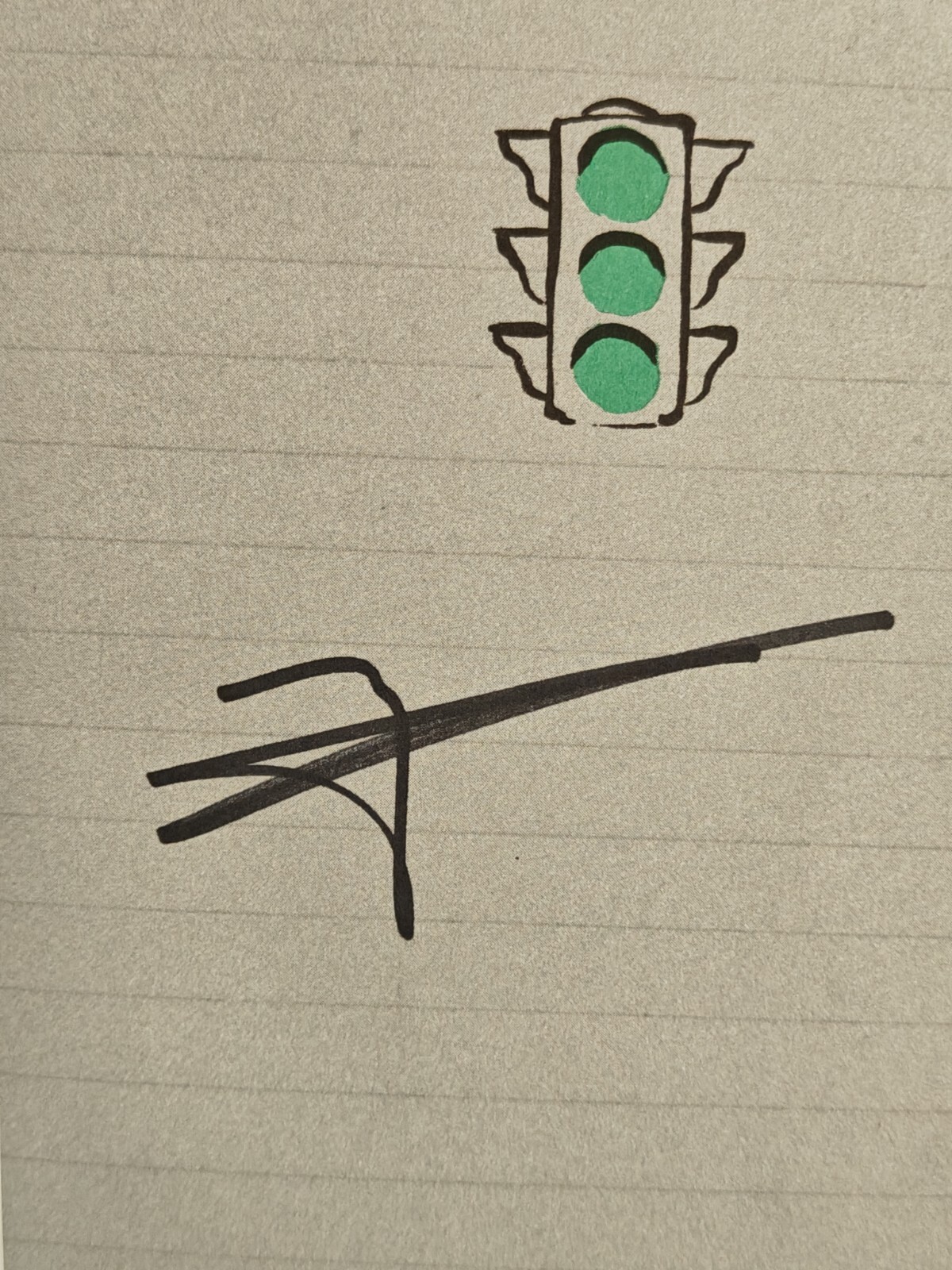 Greenlights by Matthew McConaughey Autograph Book Signed Auto Paperback Version