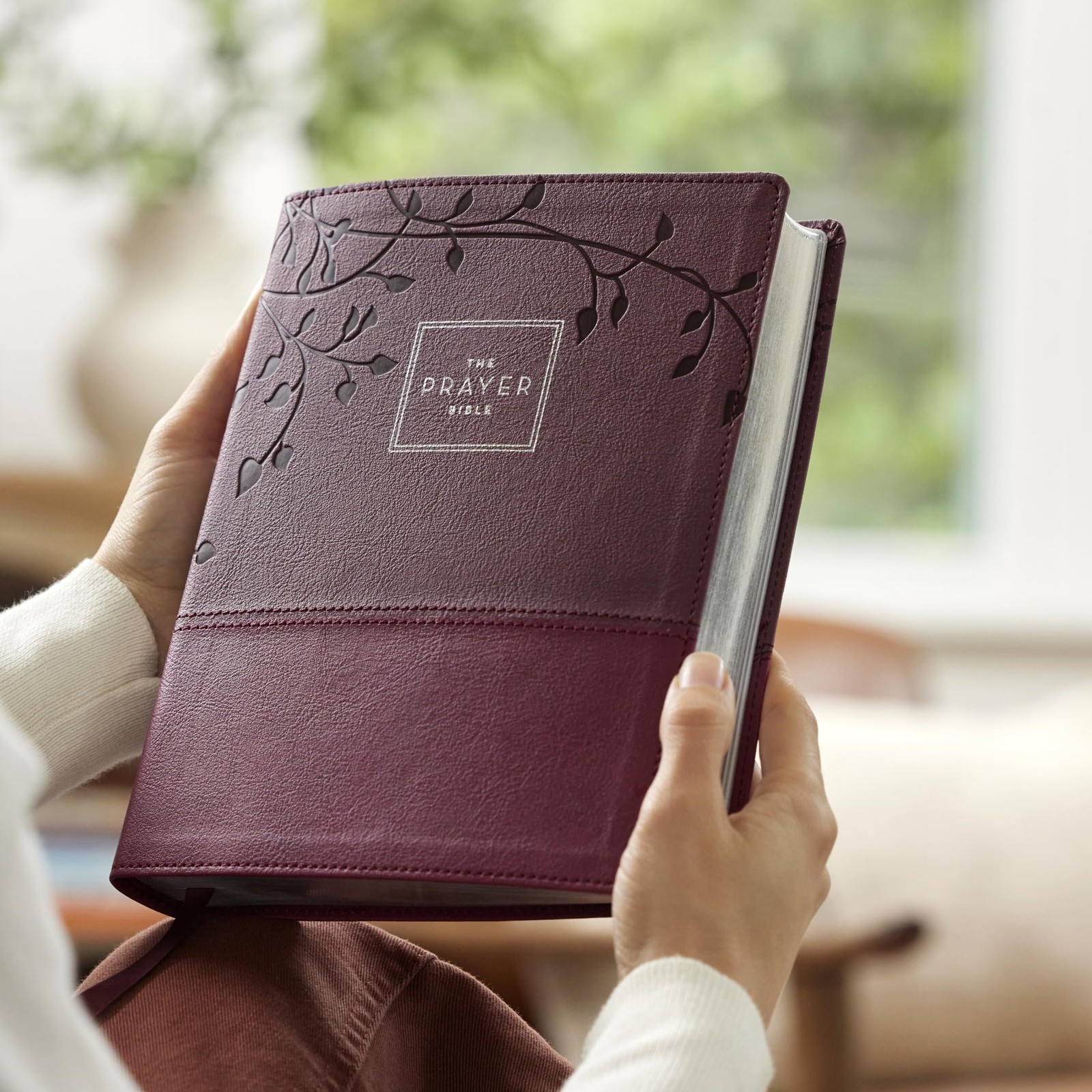 The Prayer Bible: Pray God’s Word Cover to Cover (NIV, Burgundy Leathersoft,…