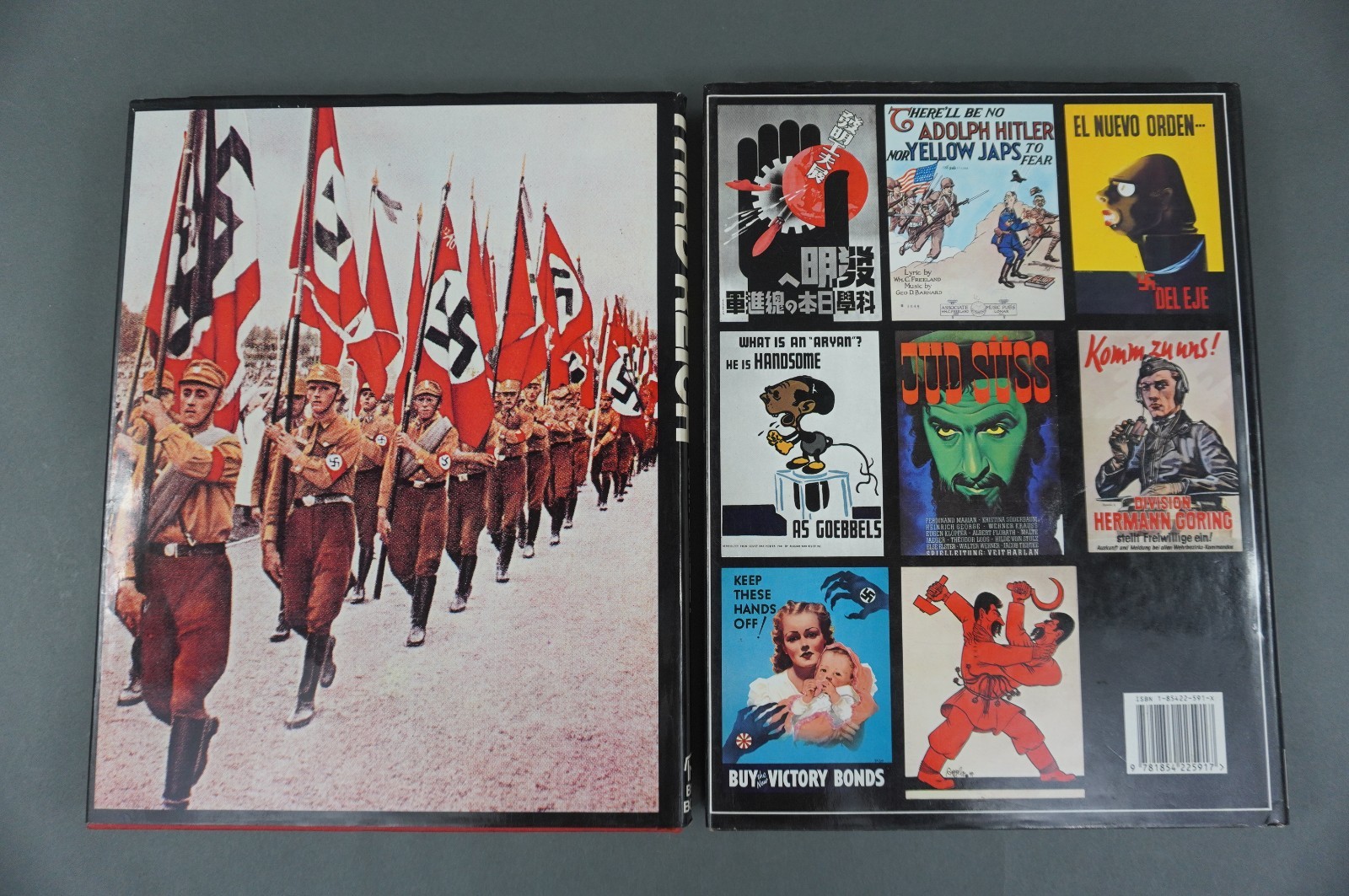 Third Reich Illustrated History & WWII Propaganda Hardcover Books Lot of 2