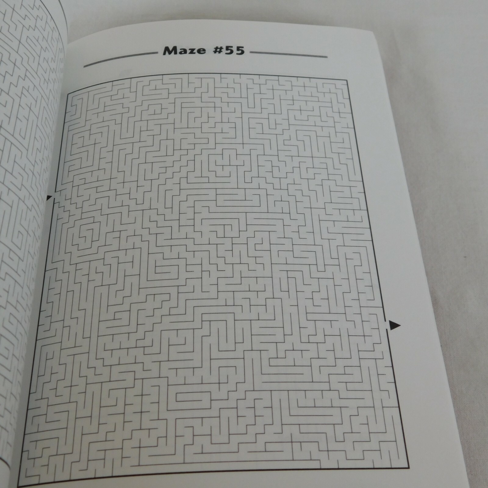 Picture This! Mazes Conceptis Puzzles 2005 Completed Mazes Create a Picture Kids