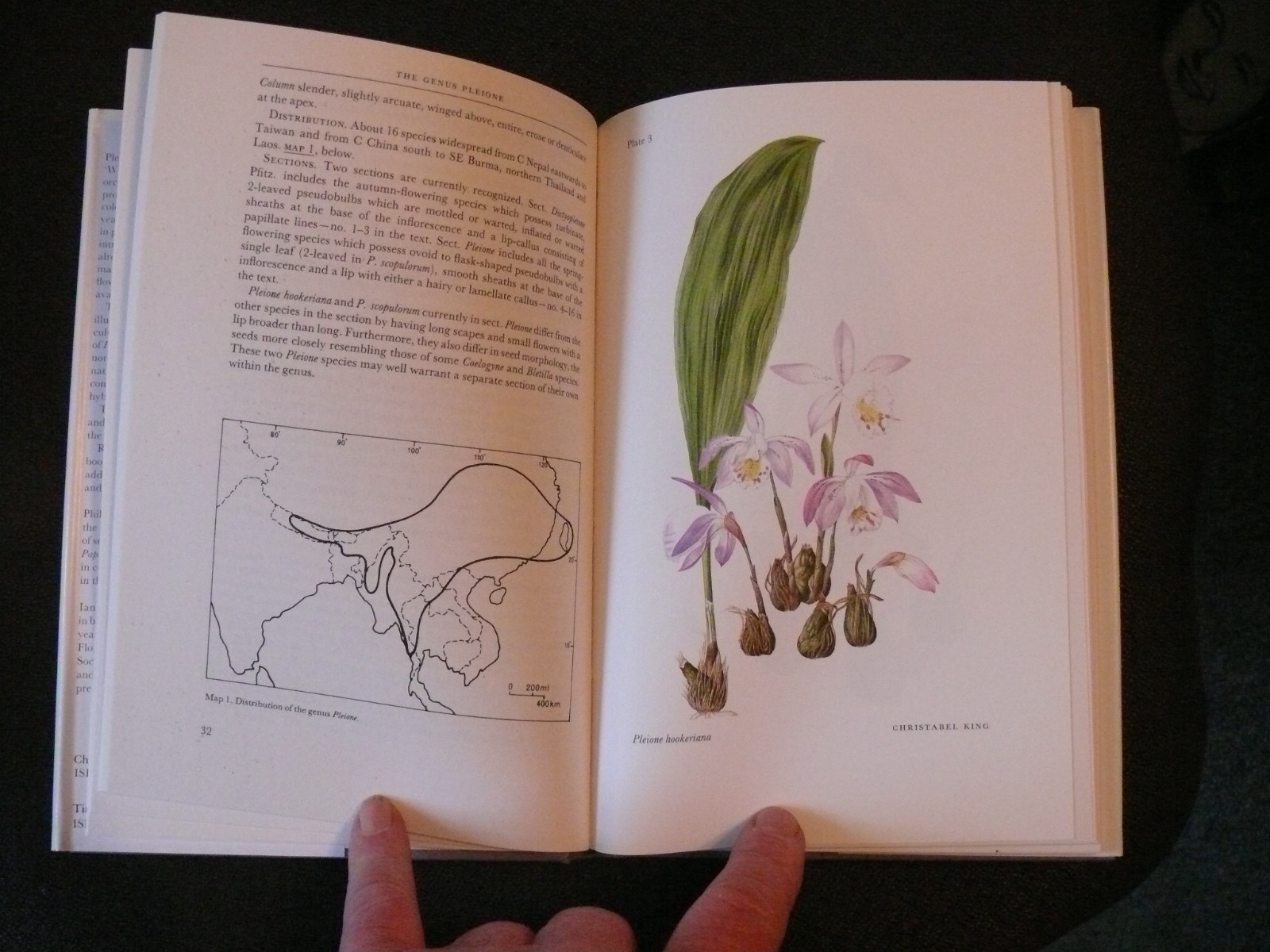 The Genus Pleione A Kew Magazine Monograph by Phillip Cribb and Ian Butterfield
