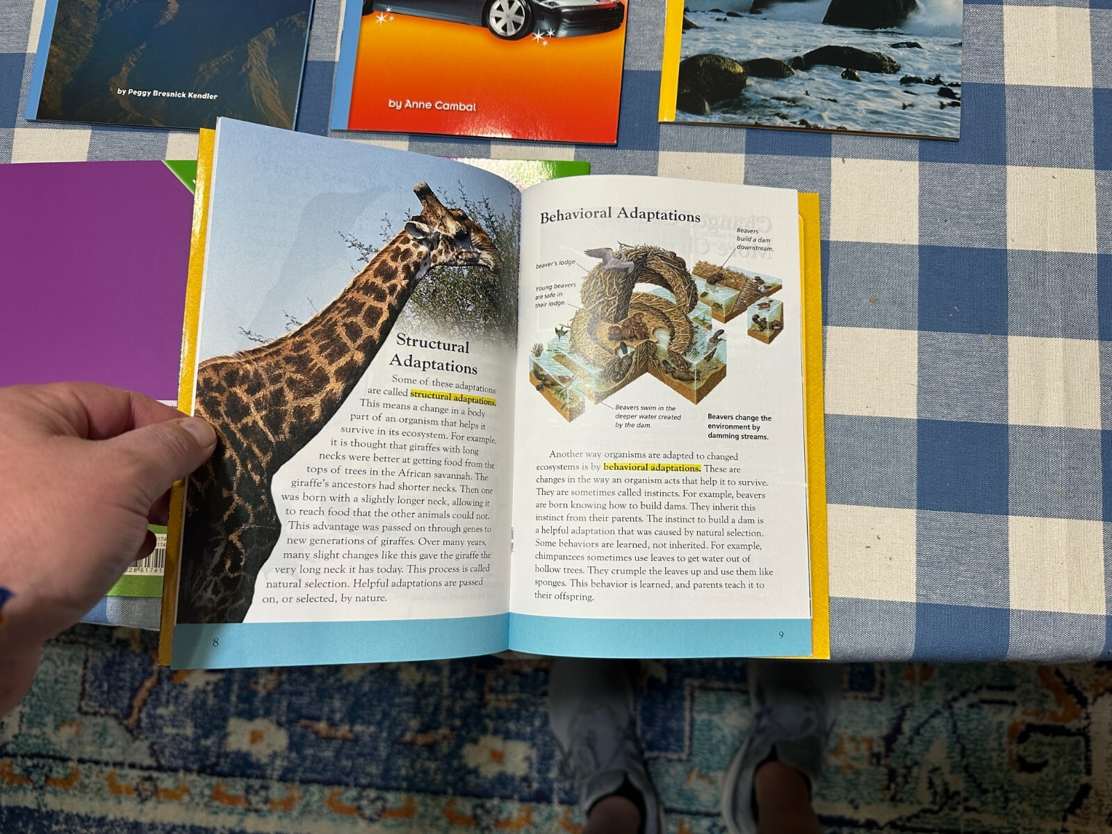 Lot 16 DK Readers Science ELL Interactive Science Homeschool Level 5