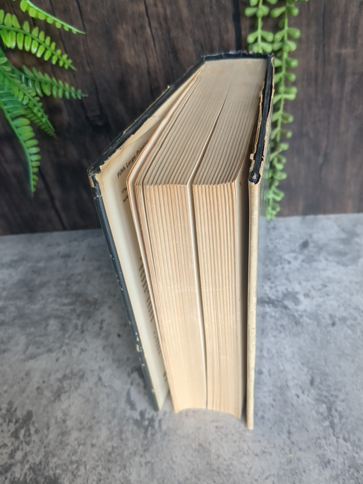 The Naked and the Dead Norman Mailer 1948 Holt Rinehart and Winston 5th Printing