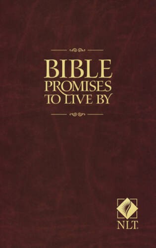 Bible Promises to Live By – Paperback By Beers, Ronald A. – VERY GOOD
