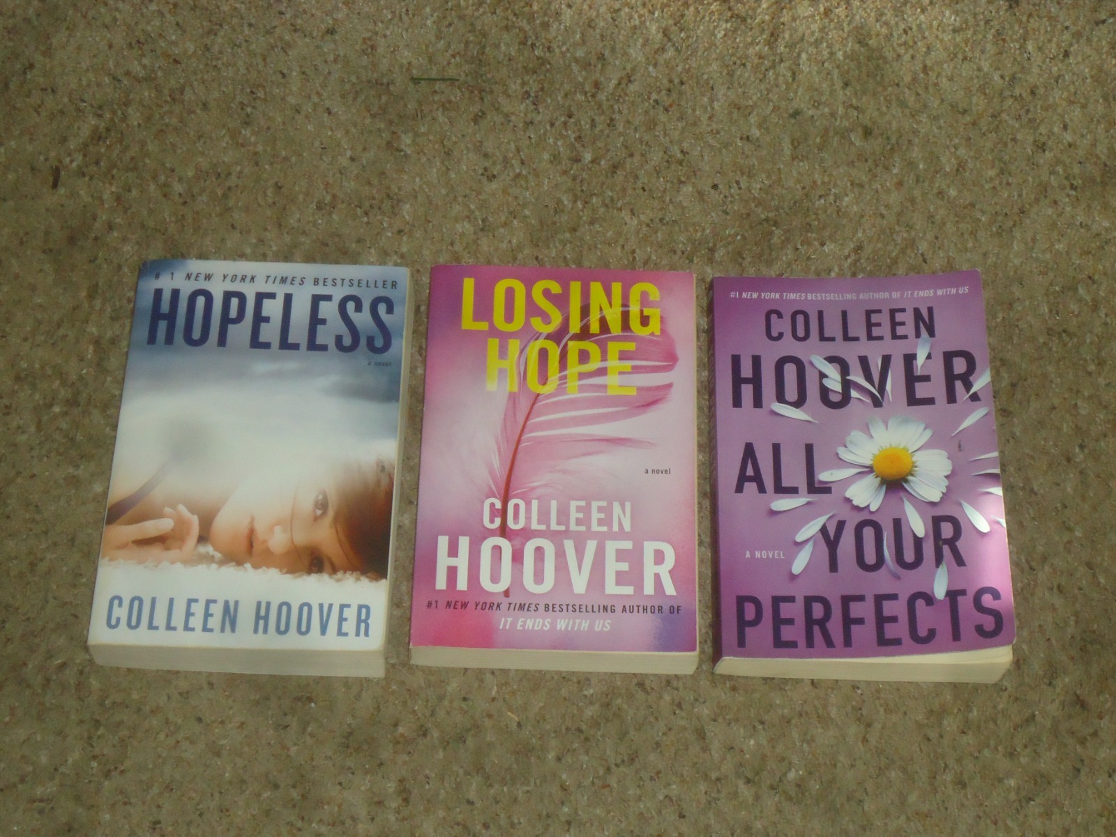 Lot 19 Colleen Hoover Novels It Ends with Us Starts Maybe Someday Hopeless Trade