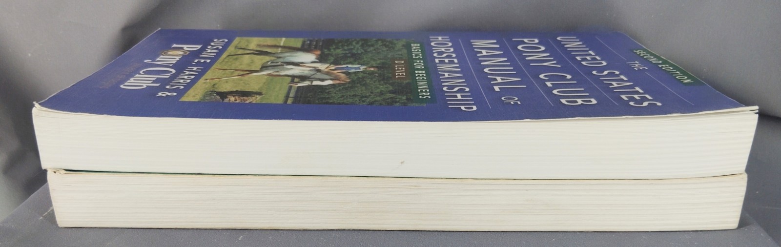 US Pony Club Manual of Horsemanship D Level Lot Susan E Harris Beginner Riding B