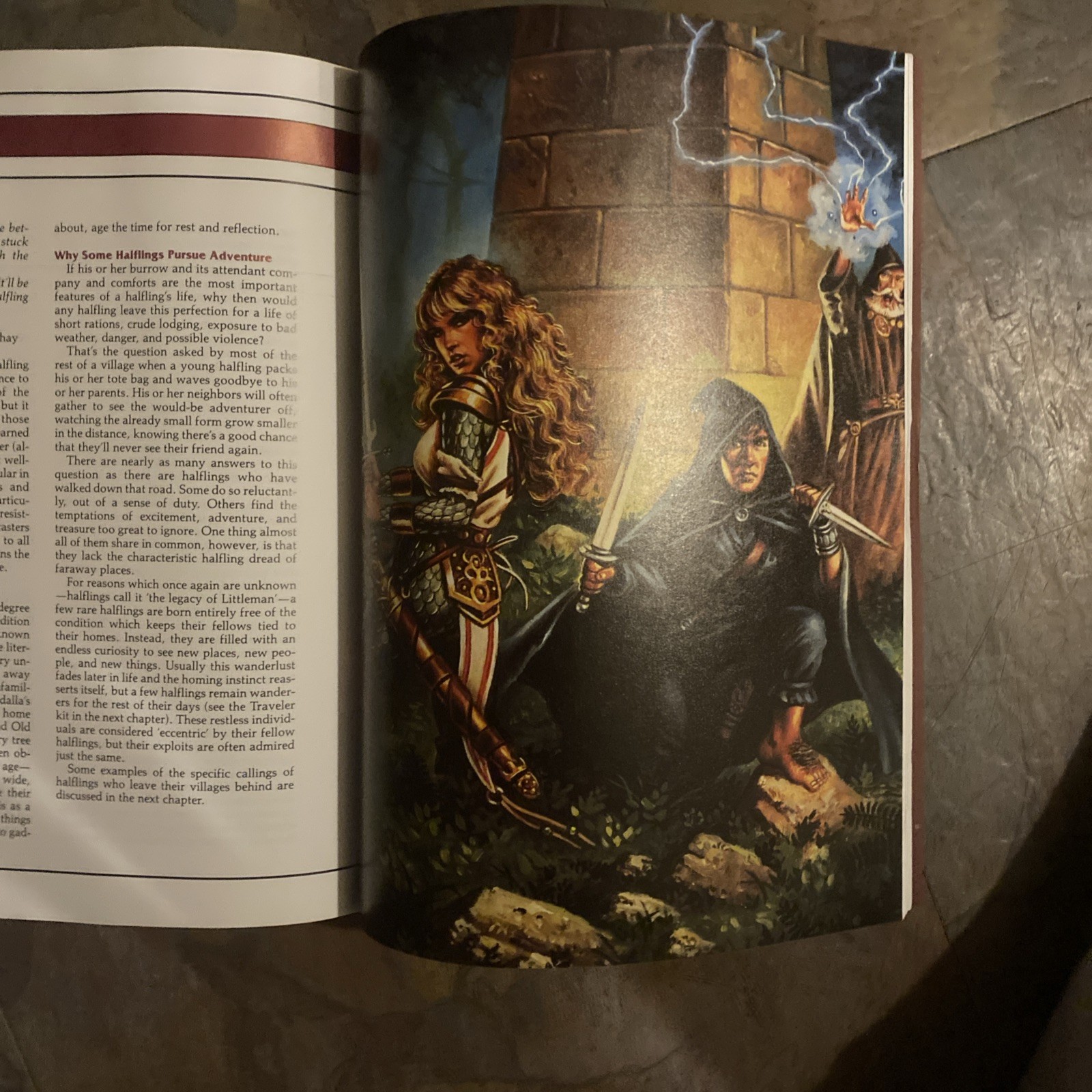 TSR AD&D 2nd EDITION COMPLETE BOOK OF GNOMES AND HALFLINGS 3rd PRINTING 1994