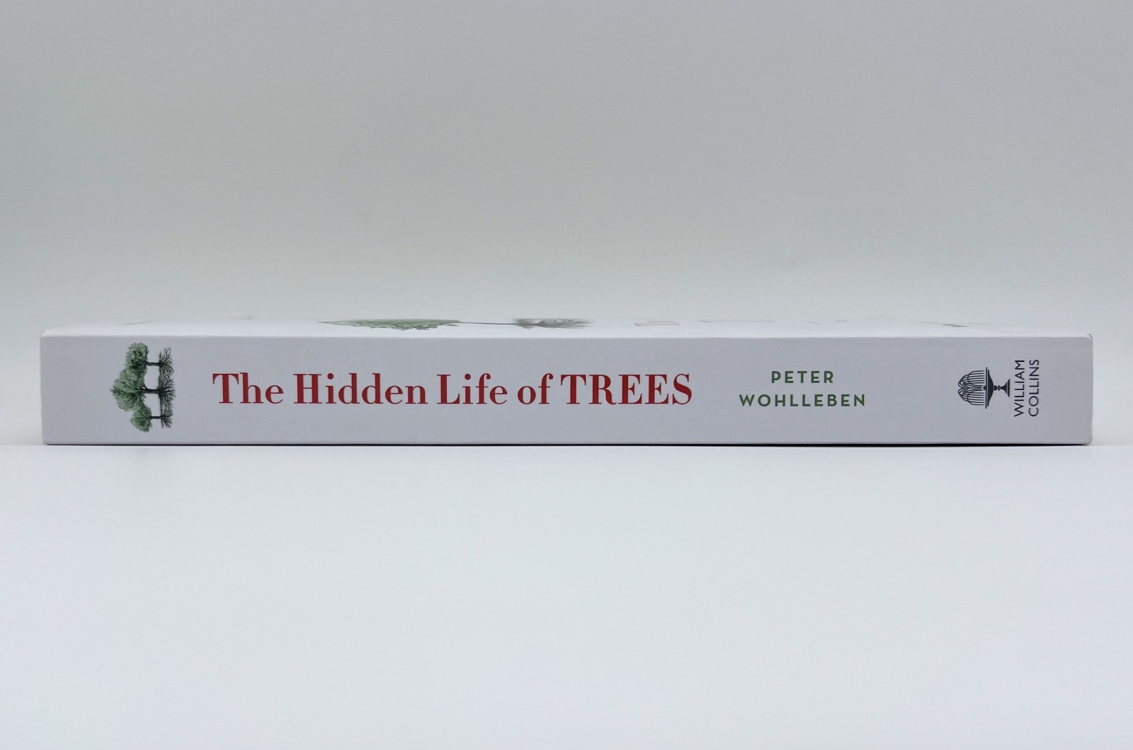 The Hidden Life of Trees – Peter Wohlleben | Paperback | Very Good