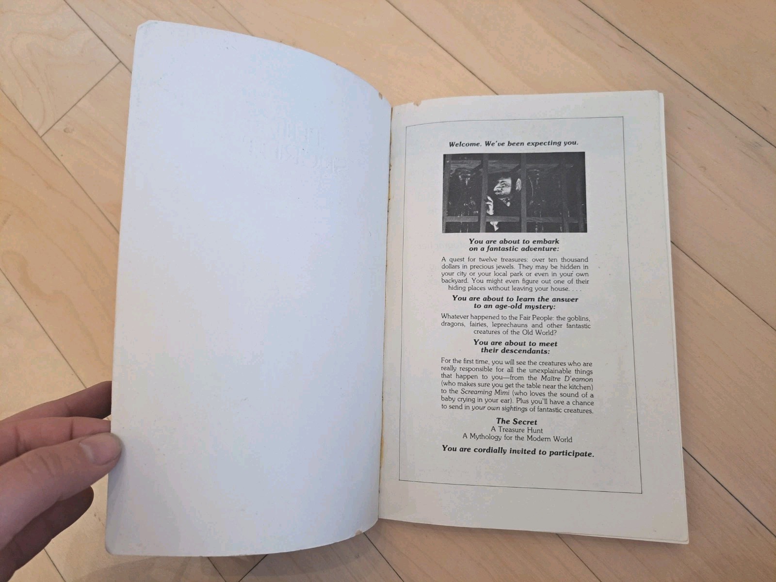The Secret: A Treasure Hunt 1982 First Edition Bantam Paperback Palencar Preiss