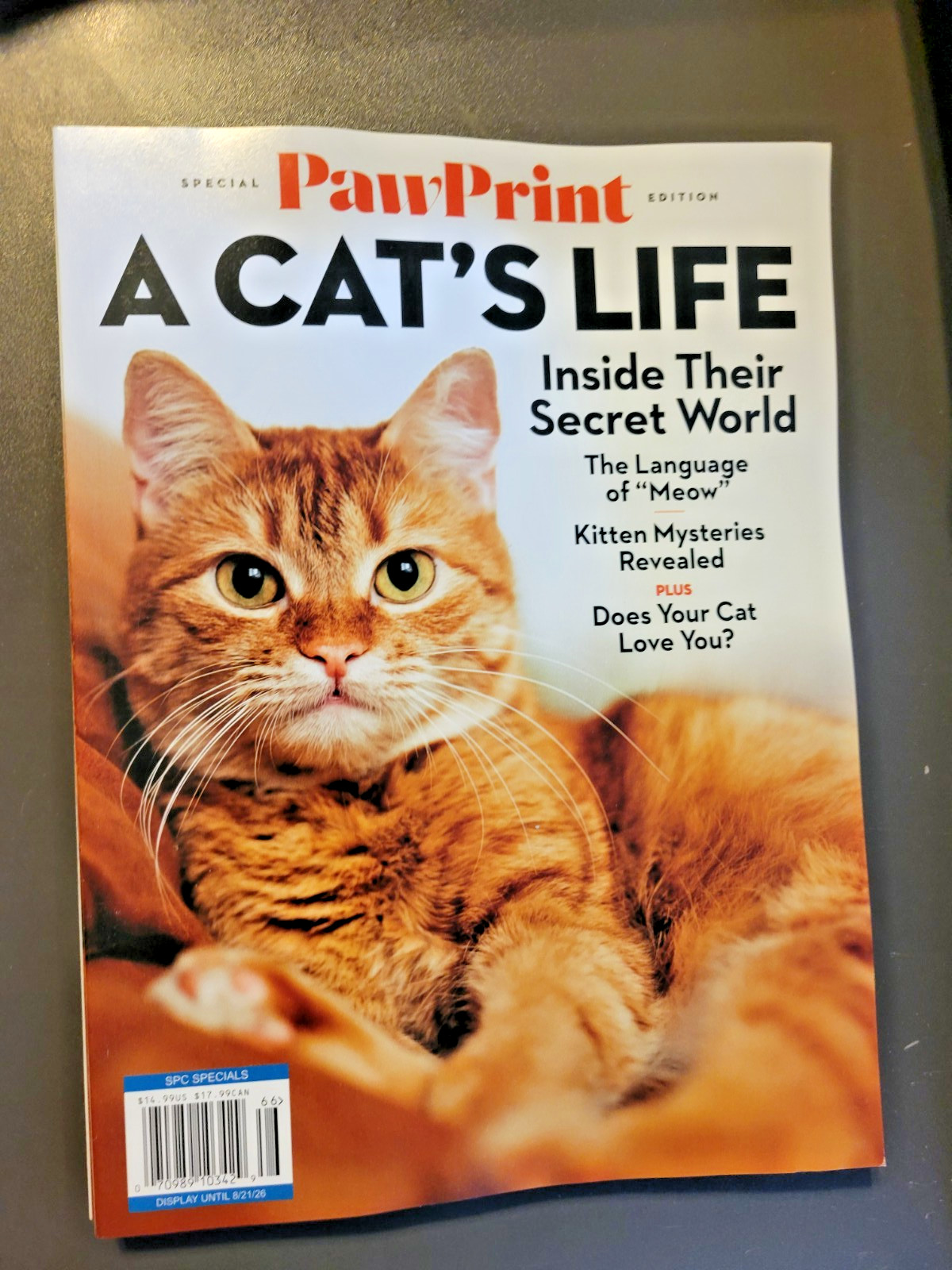 A Cat’s Life – A Special Edition by Paw Print – Inside Their Secret World