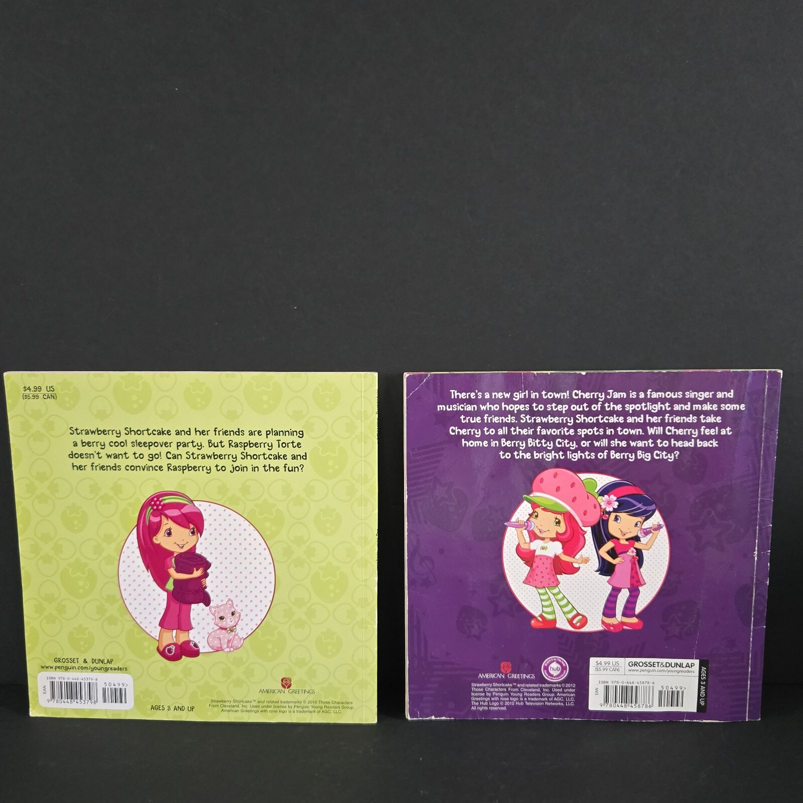 Lot Of 2 Strawberry Shortcake Books From 2010’s