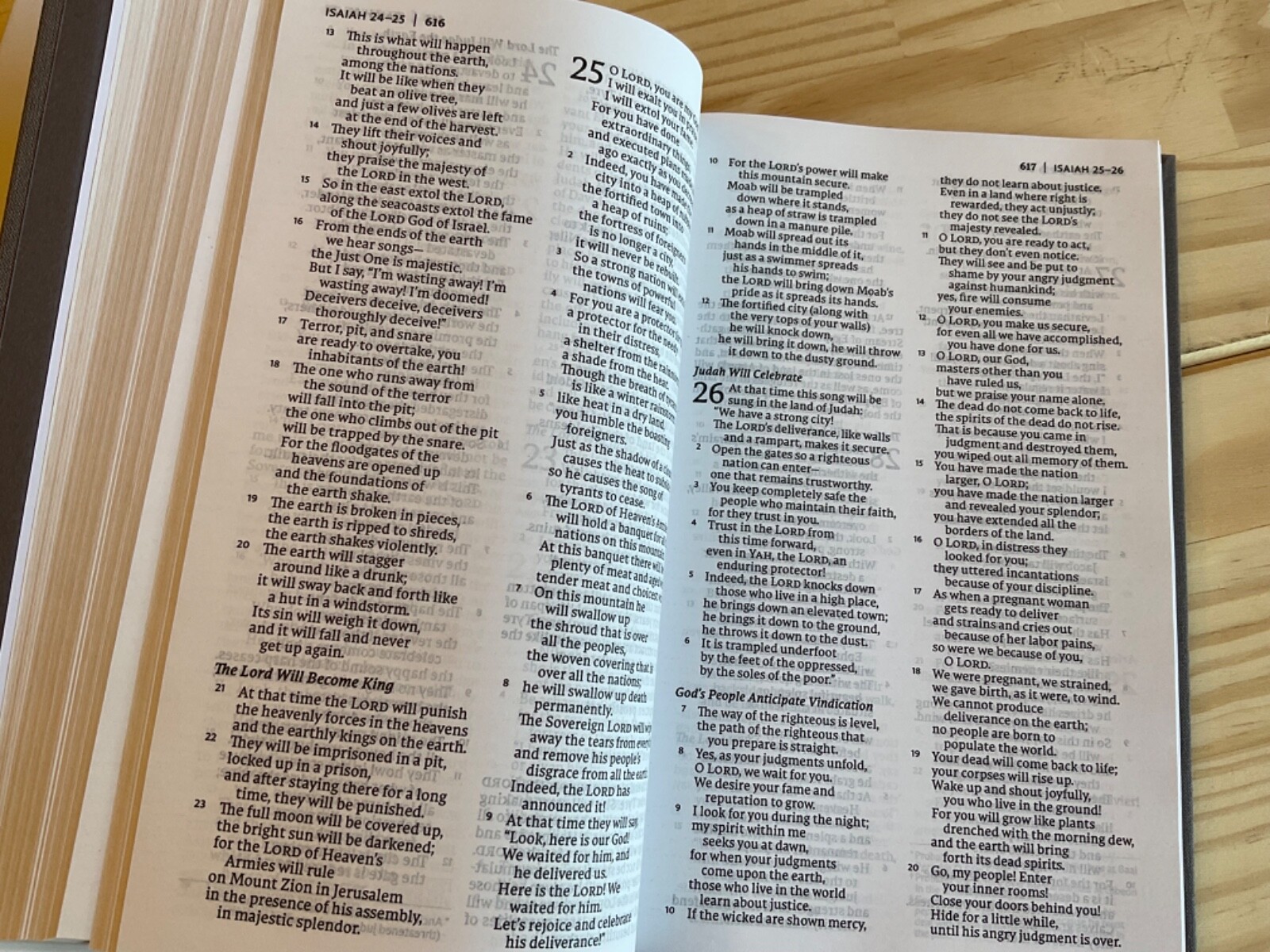 NET Thinline Bible 2019 Gray Hardcover