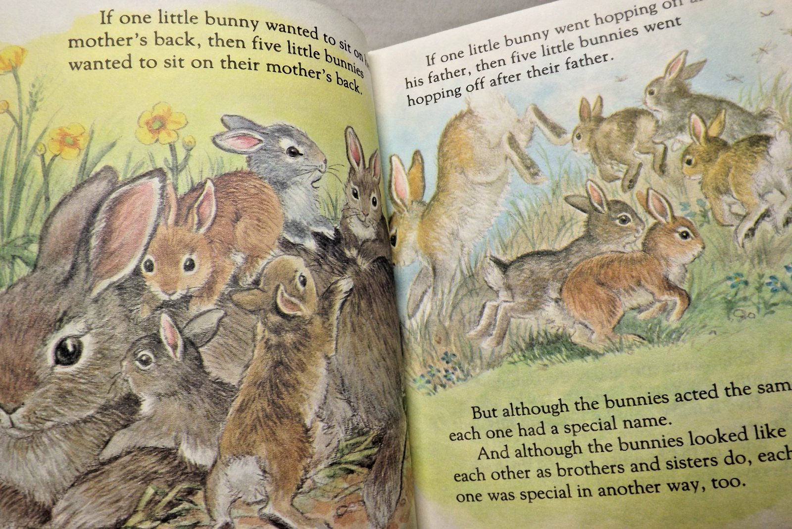 FIVE LITTLE BUNNIES – FIRST LITTLE GOLDEN BOOKS -BY LINDA HAYWARD