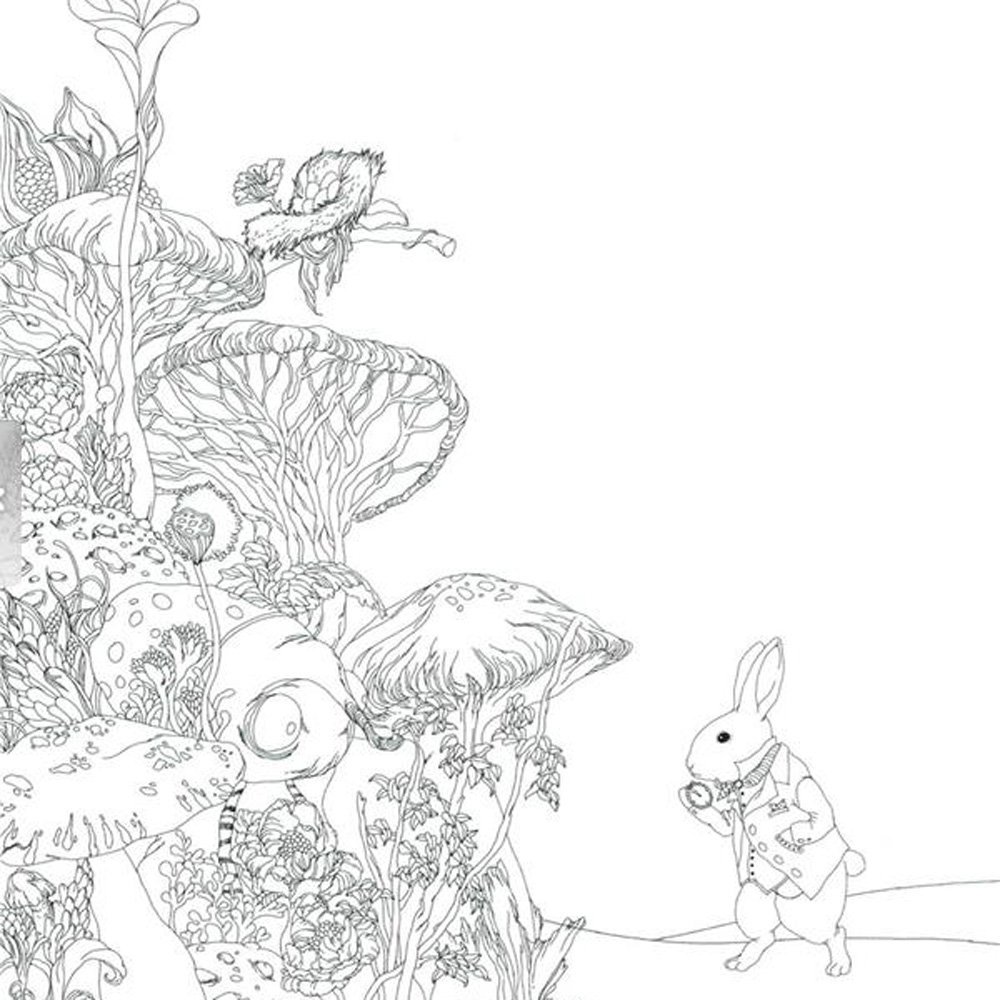 ‘Pandora’ Color Therapy Anti Stress Coloring Books for Adult Relaxation 80 Pages