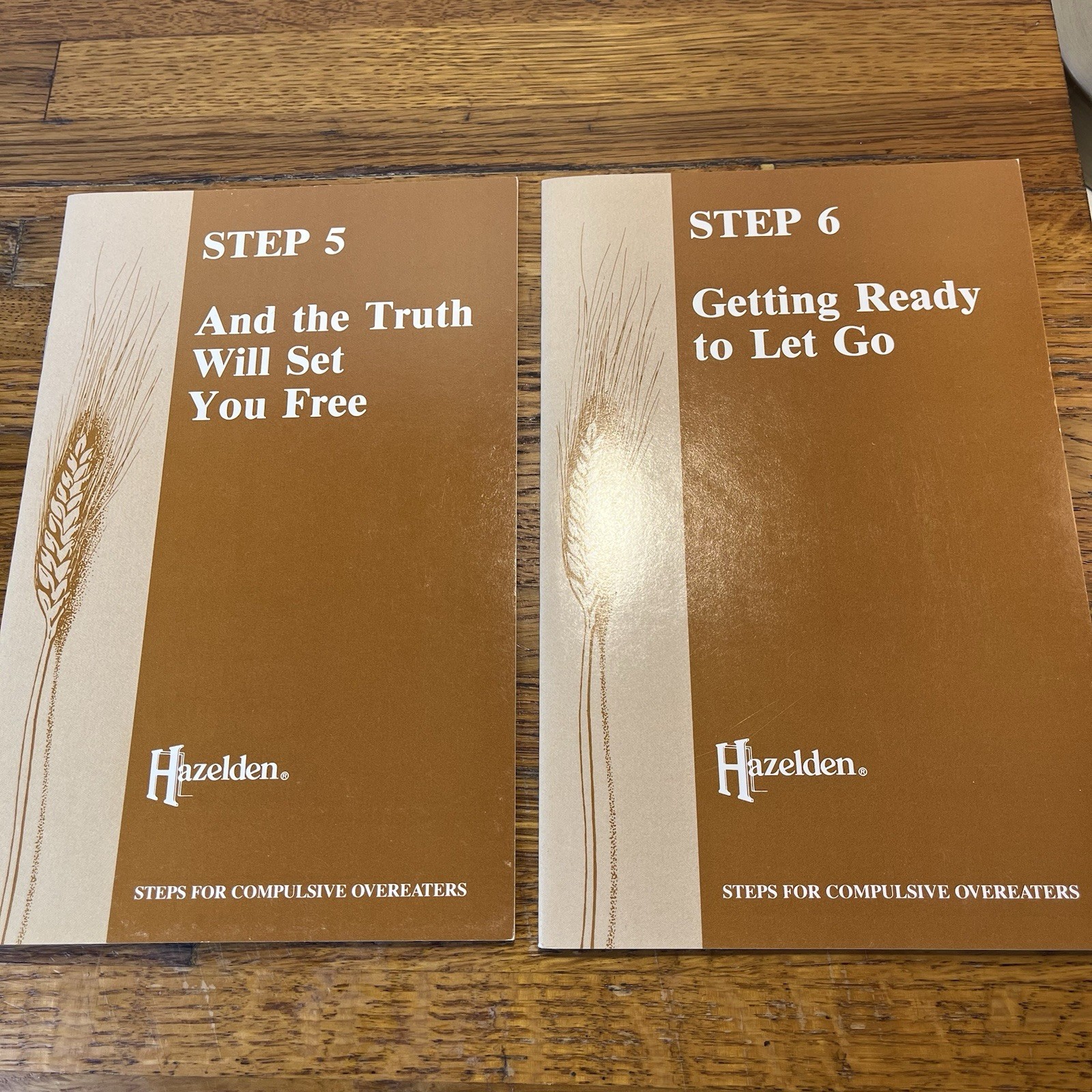 Hazelden 12 Steps For Compulsive Overeaters Paperback Vintage Booklets