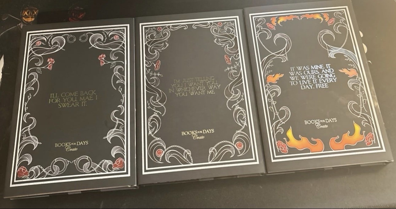Elle Thorpe Saint View Prison Series Books For Days Crate Special Editions New