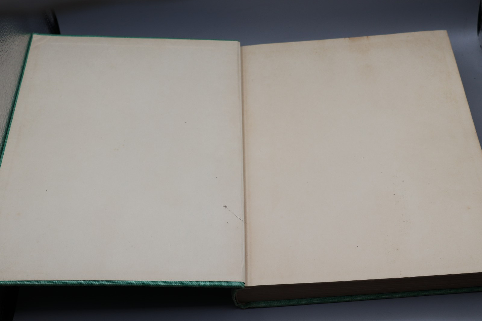 Wild Flowers by Homer D. House 1935 Macmillan Company Elzie S. Wechsler Columbia
