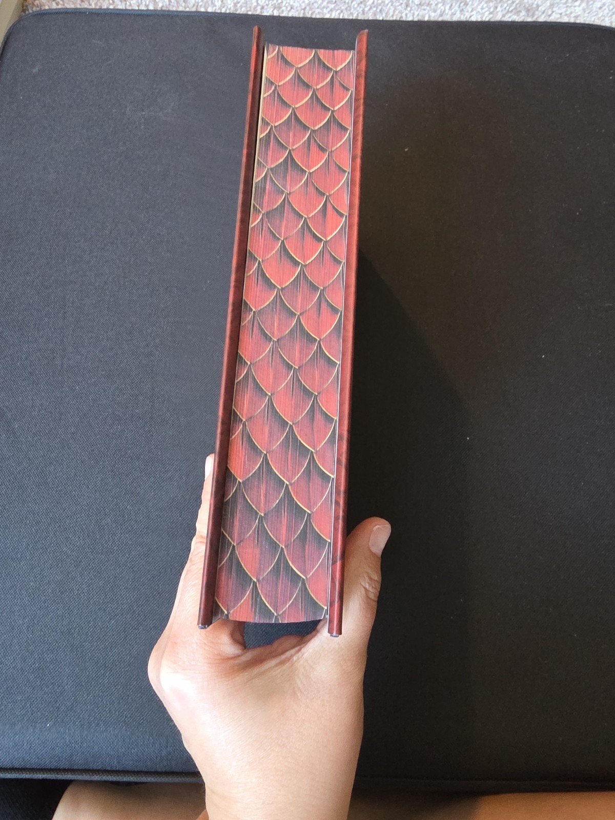 On Wings of Blood Deluxe Limited Edition : A Novel by Briar Boleyn 2025