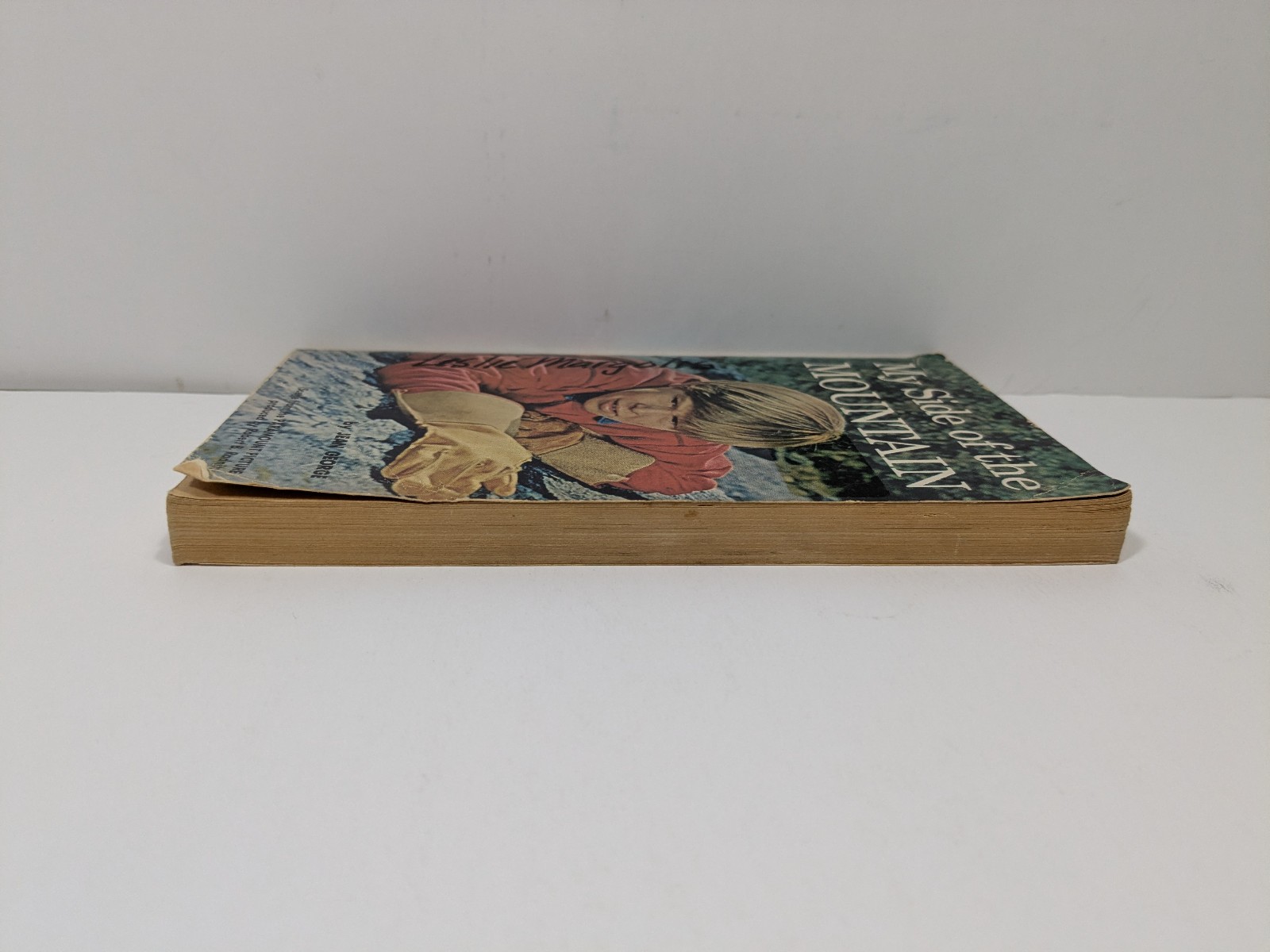 My Side of the Mountain by Jean George Vintage Paperback Book Scholastic Book