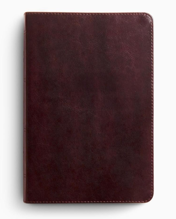 ESV Giant Print Personal Size Bible, Red Letter, TruTone, Mahogany