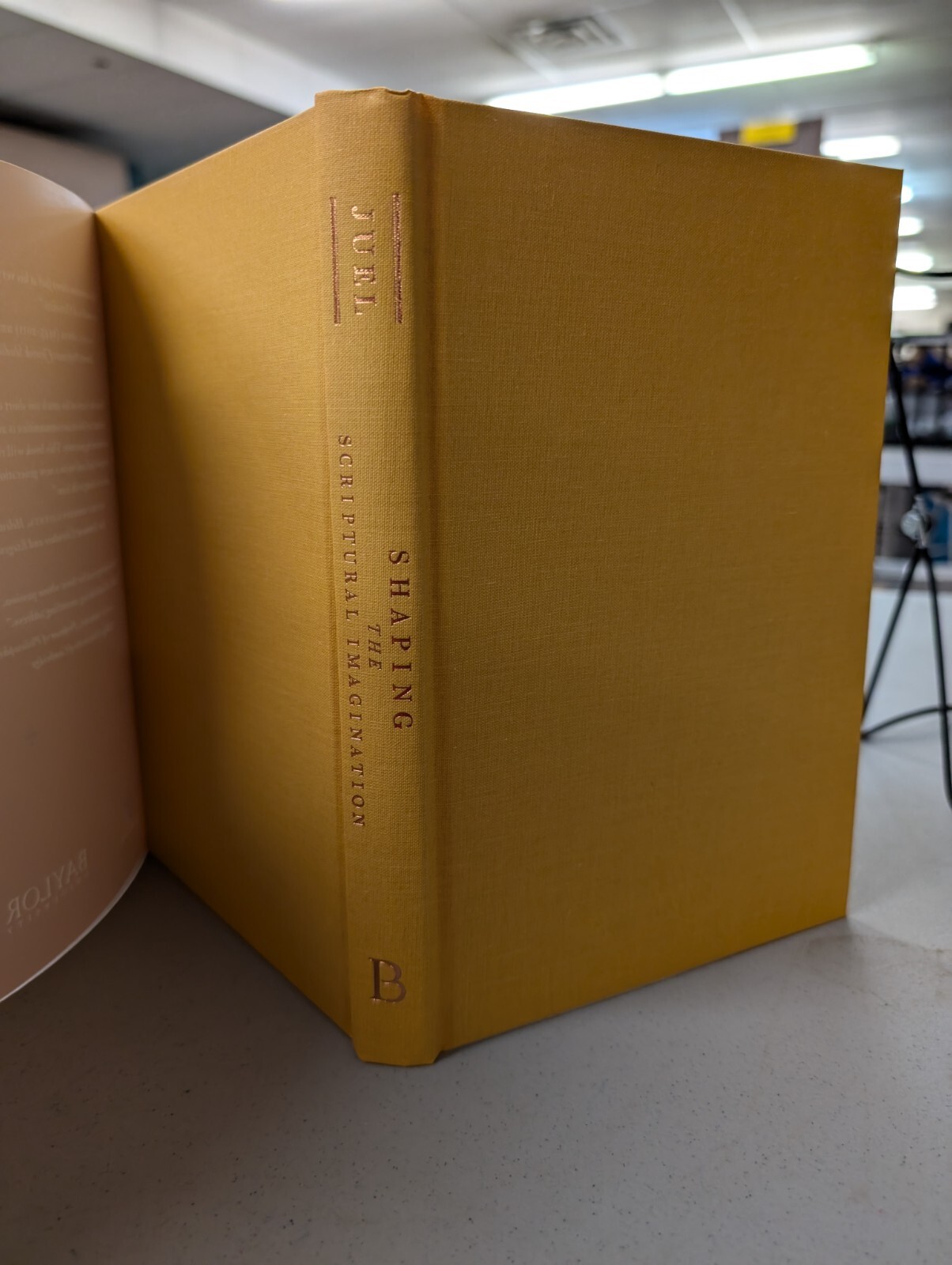 Shaping the Spiritual Imagination Donald Juel 2011 DJ HB VG 240709