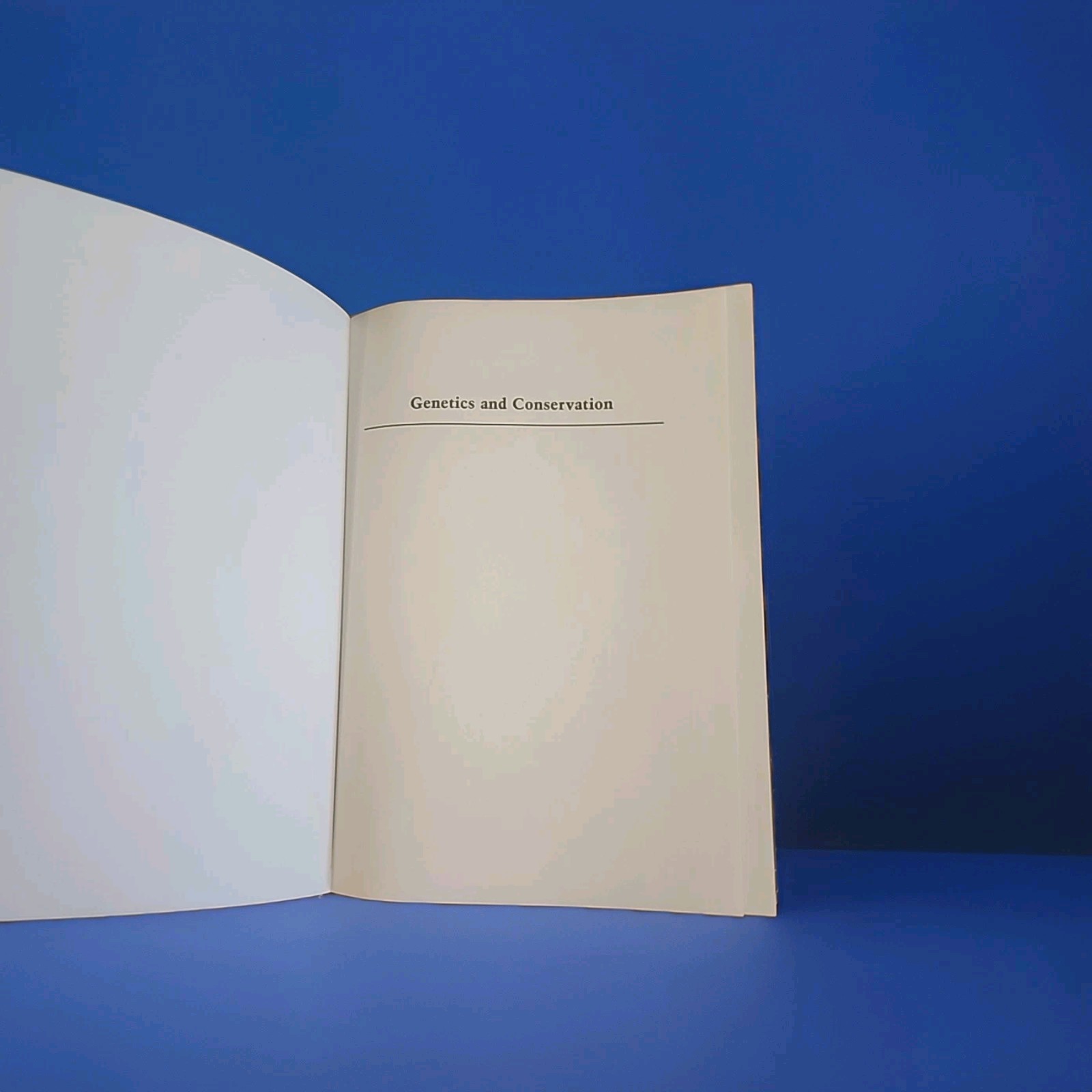 ISBN 0805377646
