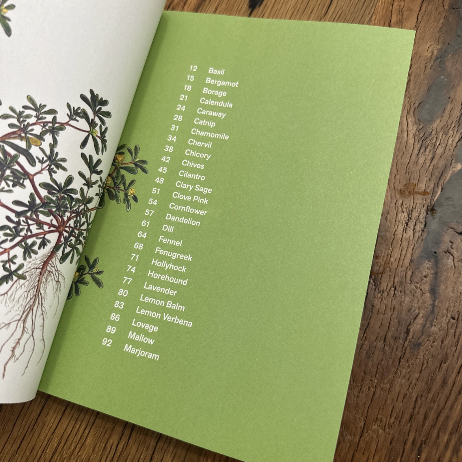 Herbal Handbook Recipes Tinctures Teas Balms And More New York Botanical Garden