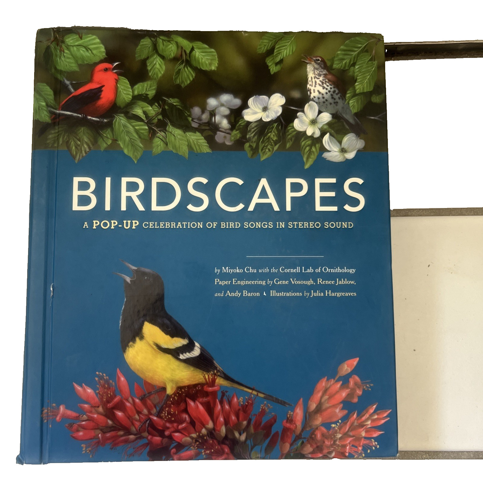 Birdscapes Pop Up Book Cornell Lab Miyoko Chu 2008 WORKING SOUND Birdsongs Audio