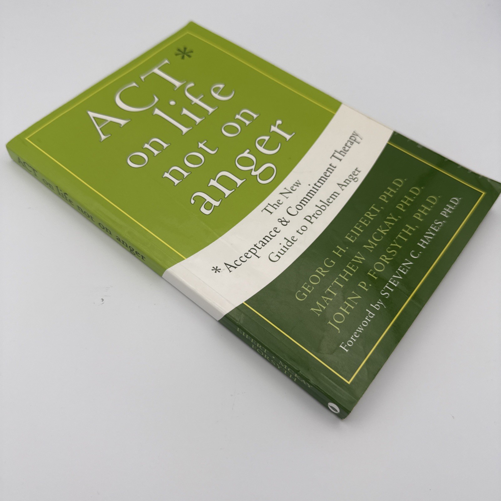 ACT on Life Not on Anger : The New Acceptance and Commitment Therapy Guide to…