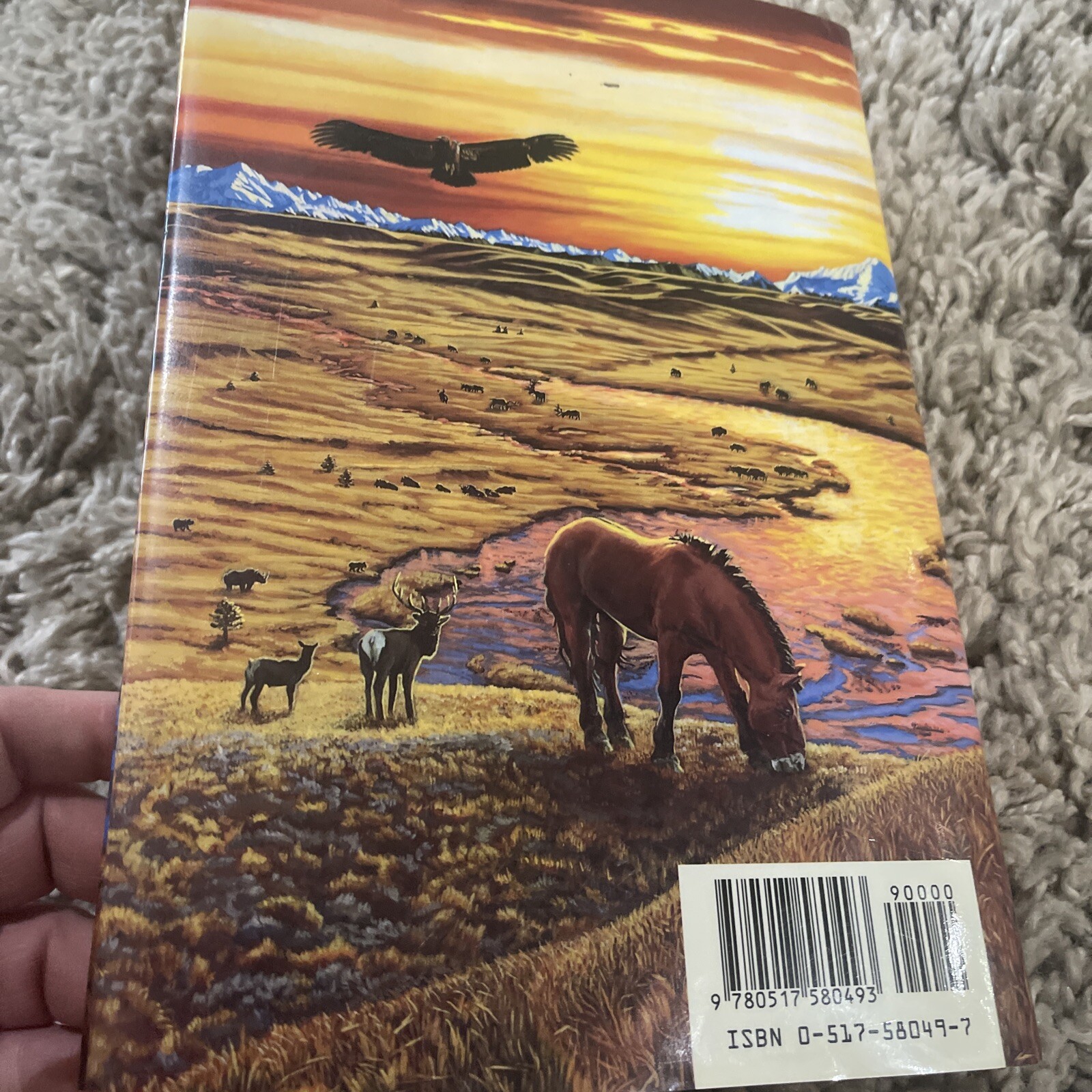 Earth’s Children Ser.: The Plains of Passage : A Novel by Jean M. Auel 1990 HCDJ