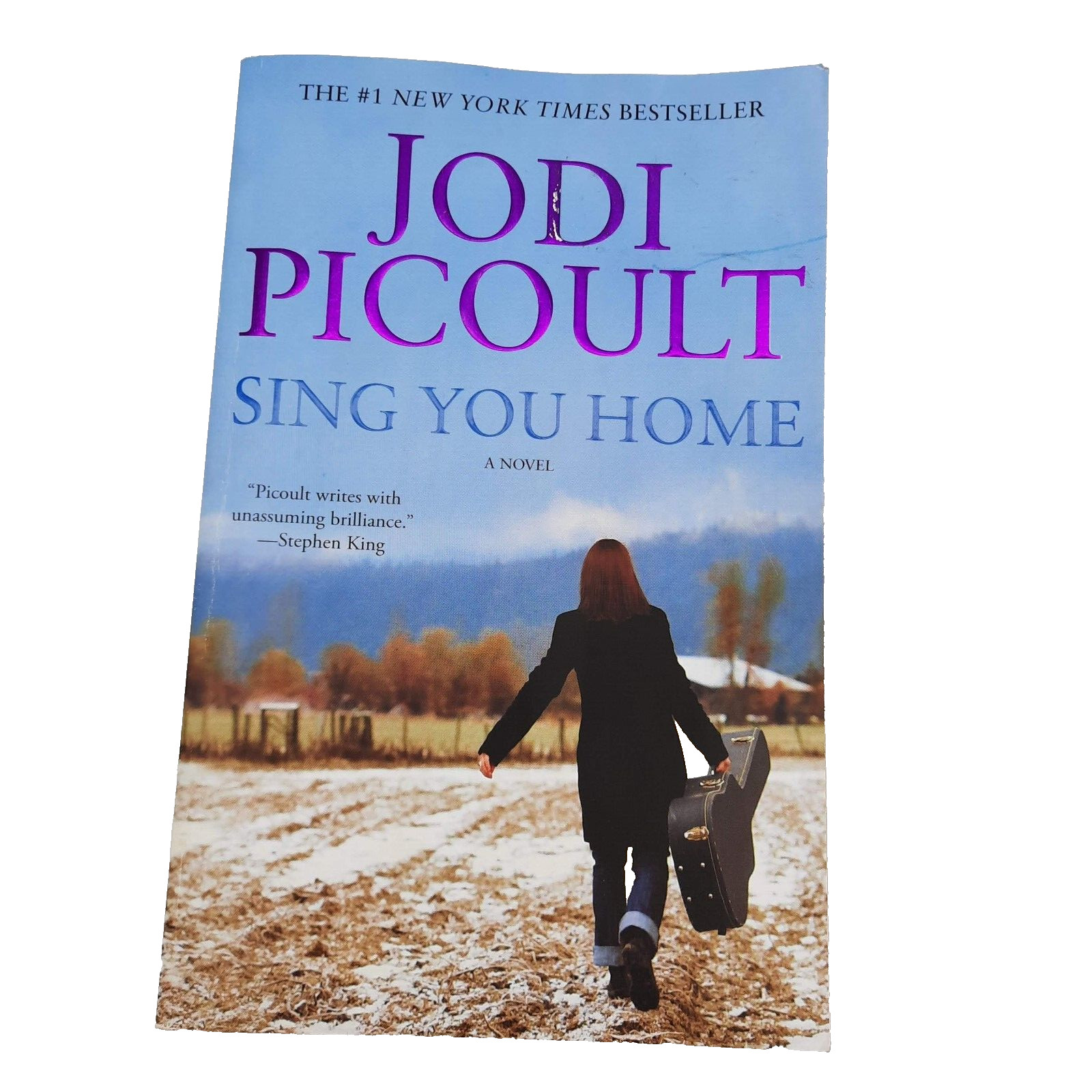 Romance Relationships Jodi Picoult All Larger TPB Lot of 6 Romantic Suspense