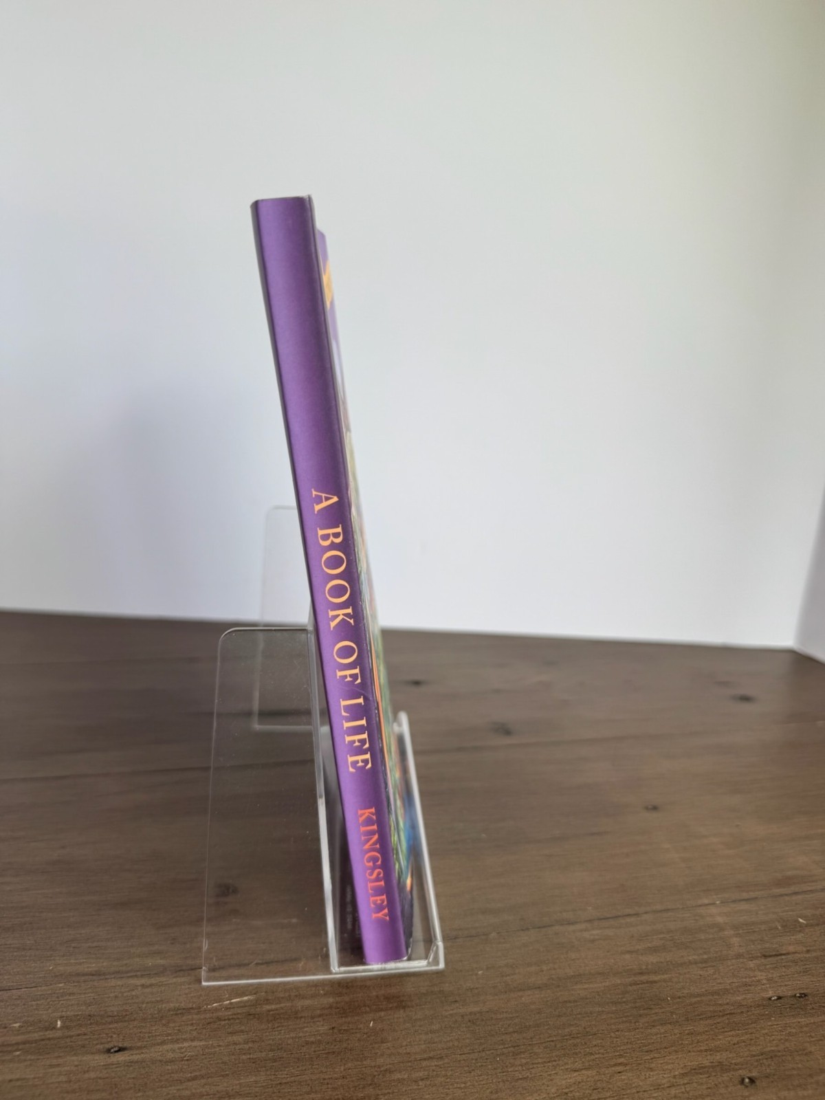 A Book Of Life By Peter Kingsley Paperback 2021 8.25×5.5 Inches