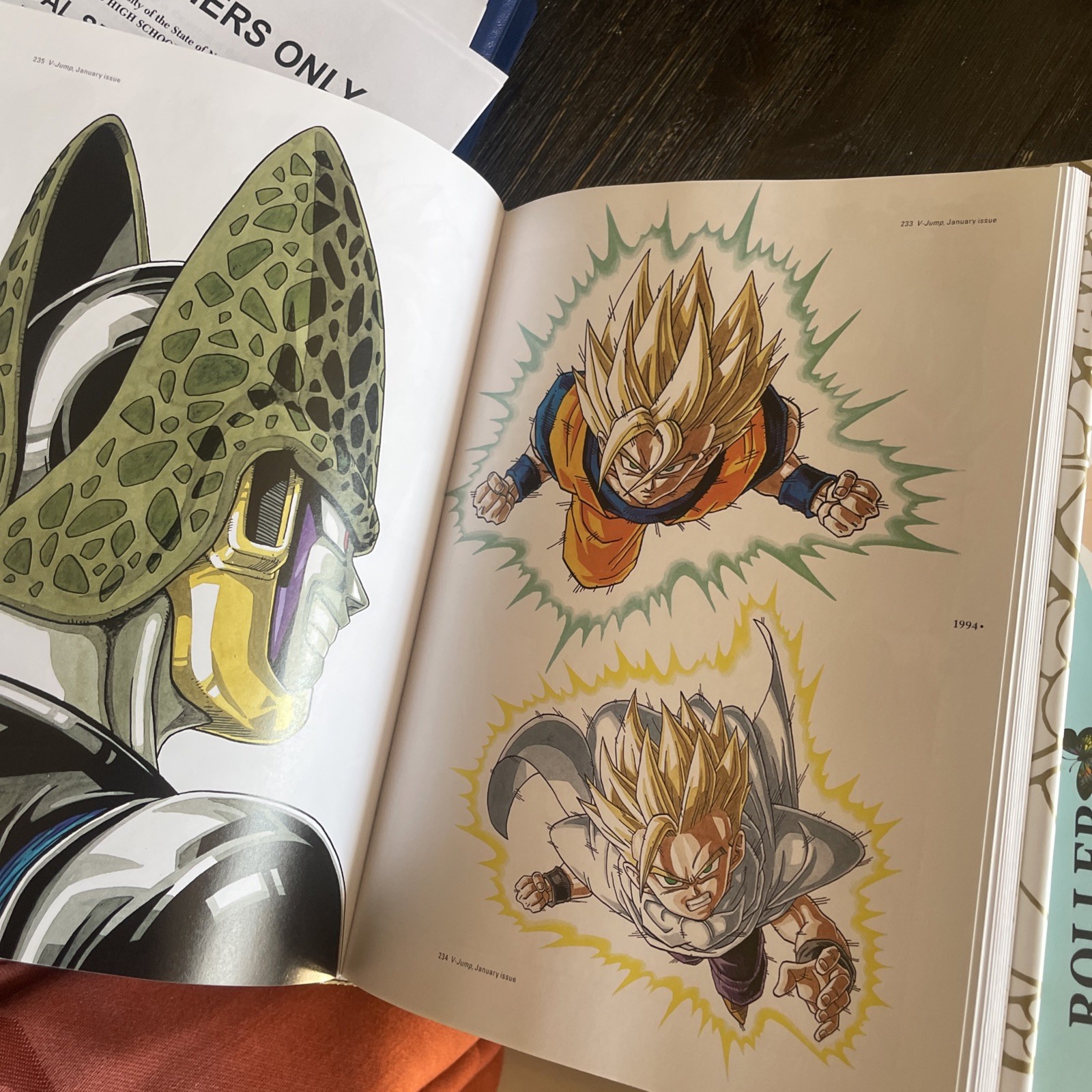Dragon Ball: The Complete Illustrations Art Book Akira Toriyama HCDJ – RARE OOP