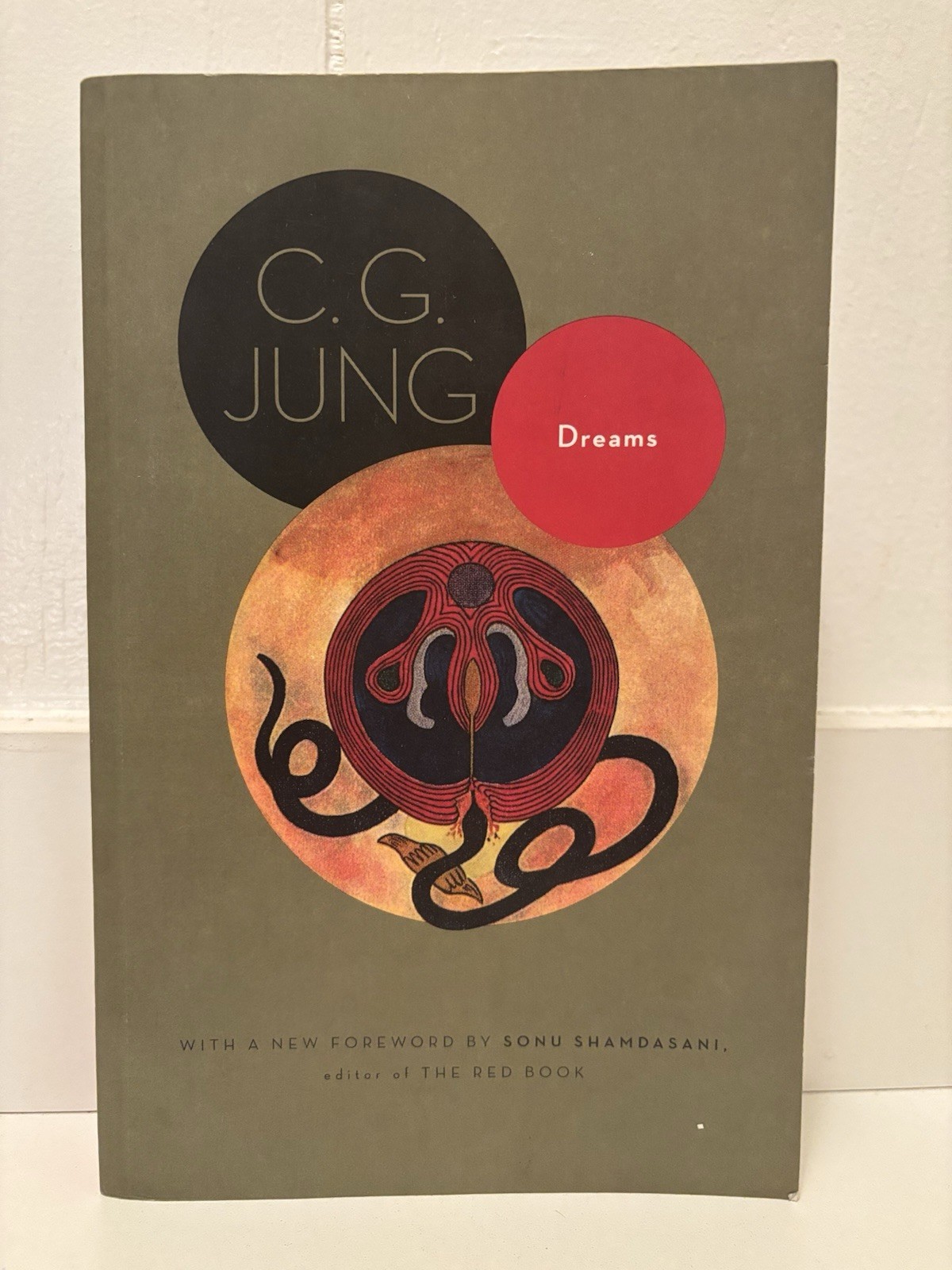 C.G. Carl Jung Gustav Lot 11 Books Collected Works Jungian Psychology Archetypes
