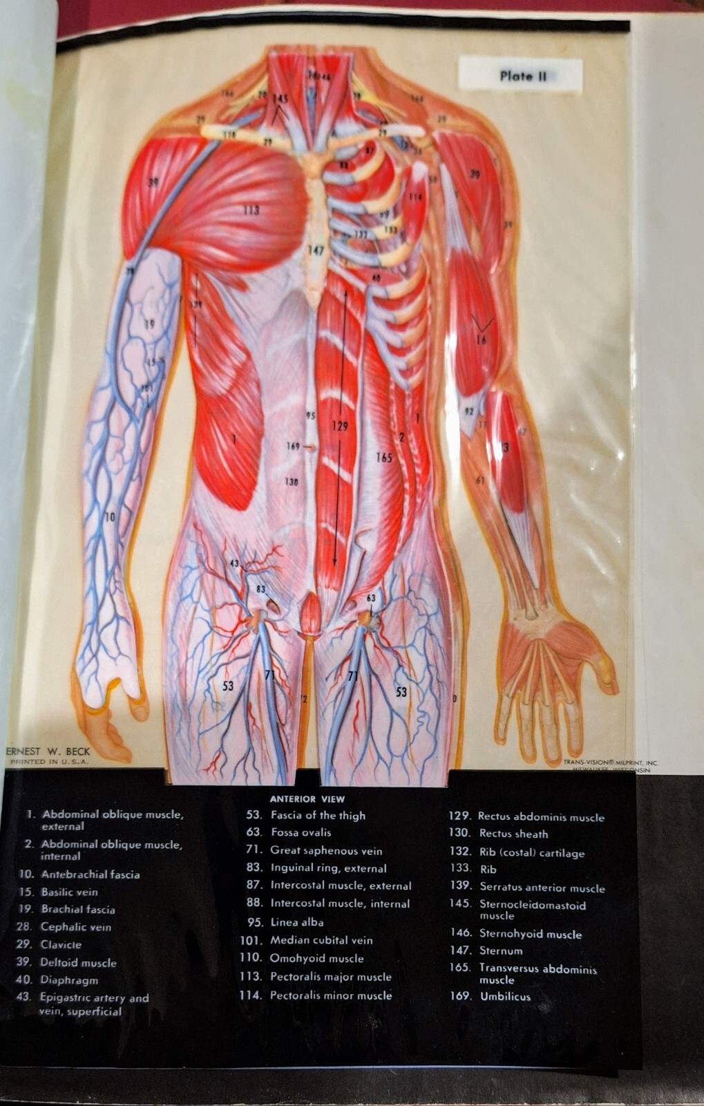 Family Medical Guide Better Home And Gardens 1976 with Atlas Of The Body Book