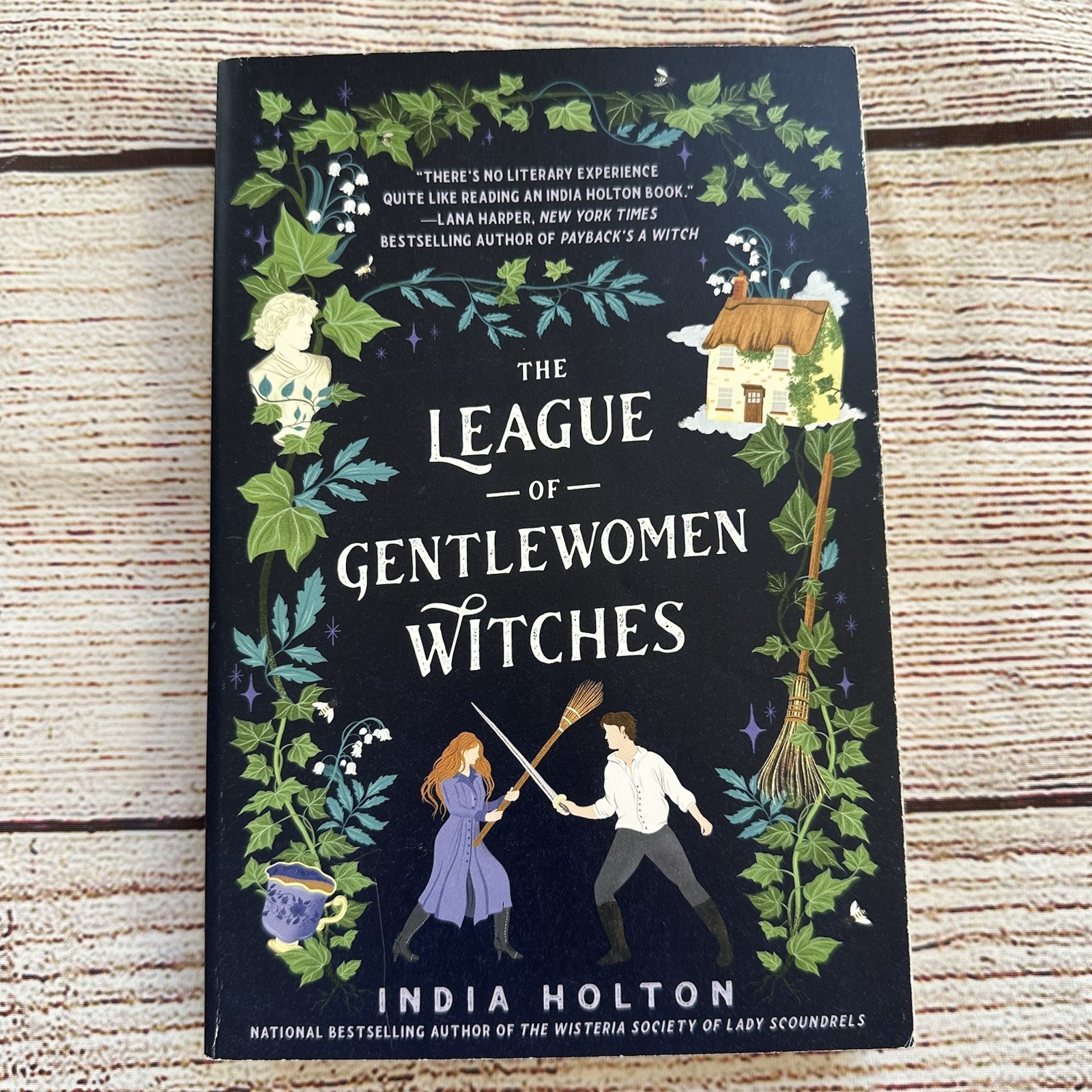 The League of Gentlewomen Witches Book 2 of 3 Dangerous Damsels By India Holton