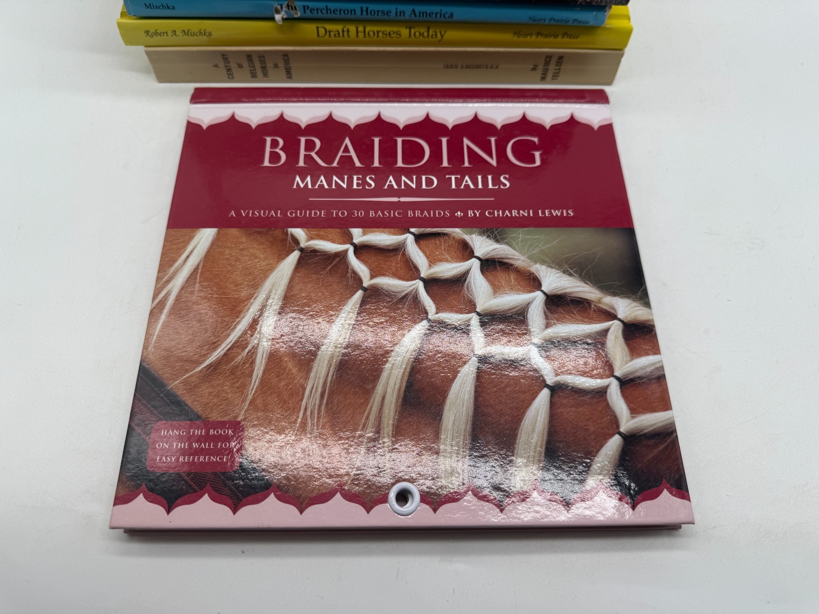 Lot 9 Horse Books Encyclopedias Breeds Horsemanship equestrian in good cond.