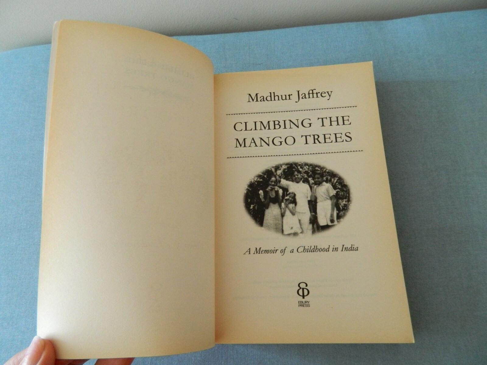 Vintage BOOK CLIMBING THE MANGO TREES MADHUR JAFFREY Paperback Ebury Press 2005