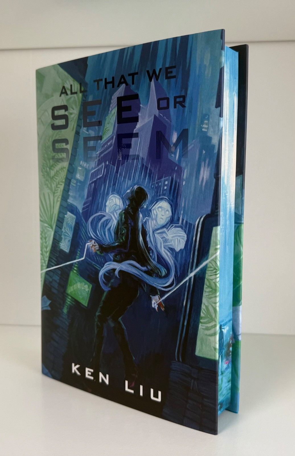 The Broken Binding SIGNED All That We See or Seem by Ken Lui Tbb