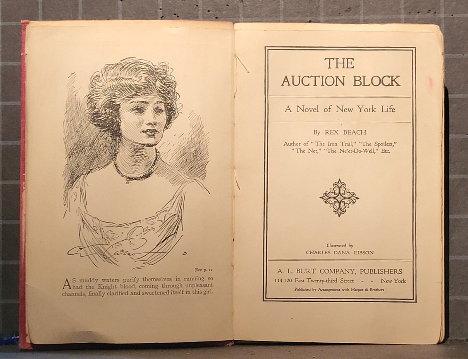 The Auction Block : A Novel of New York Life by Rex Beach 1914 Hardcover 2292