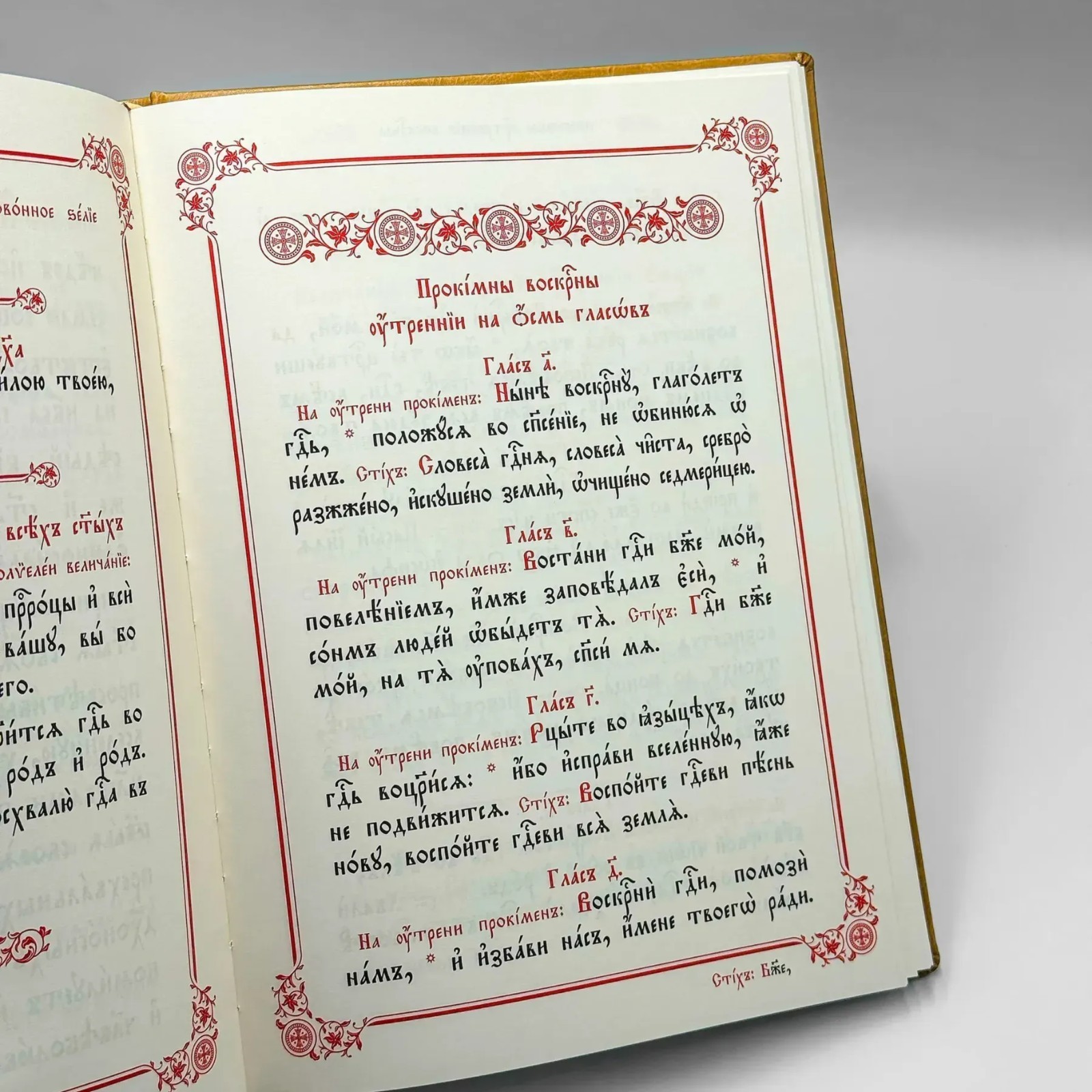 Orthodox Liturgical Service Book for Clergy Church Slavonic